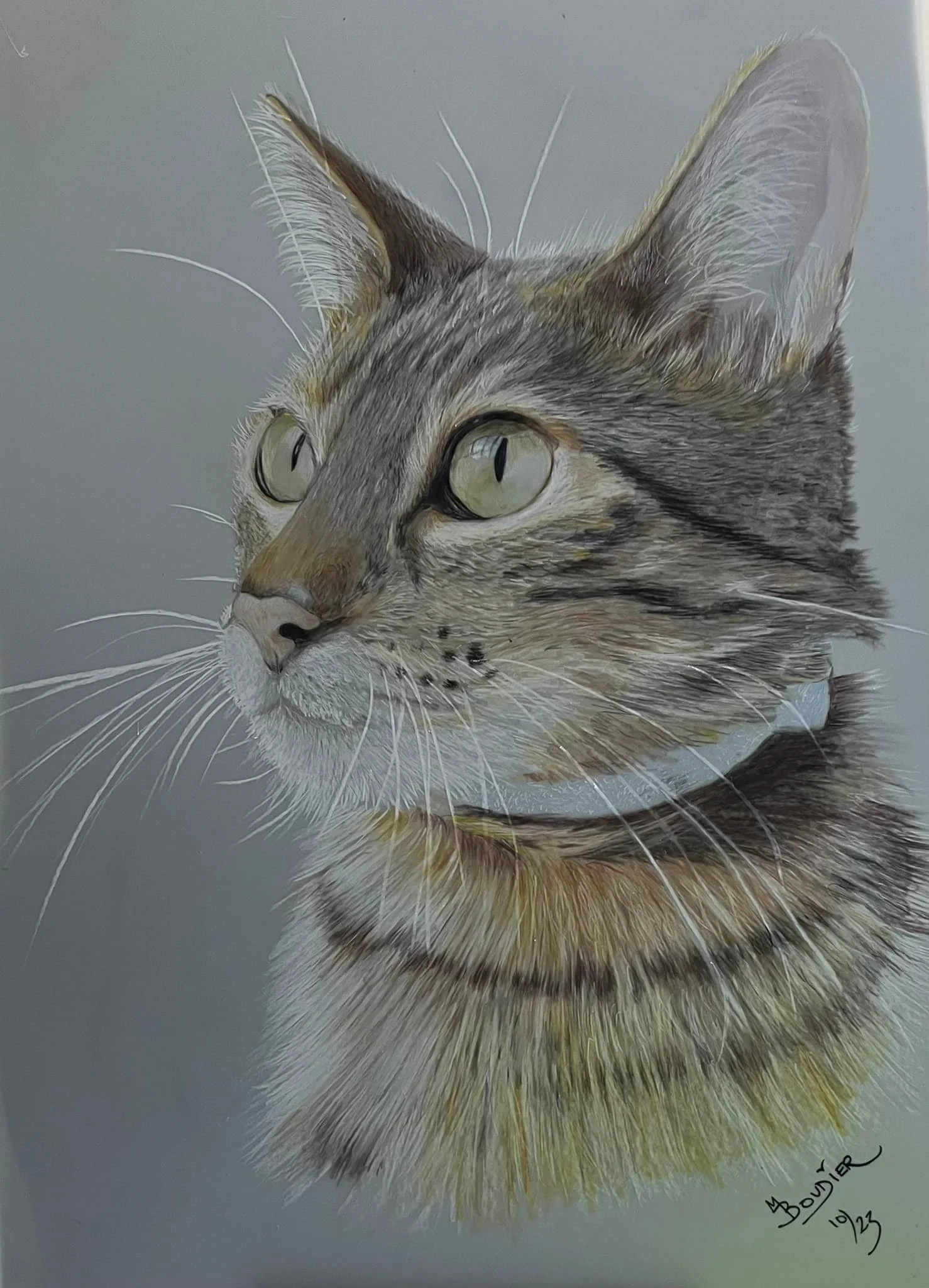 Milo the Cat.jpg