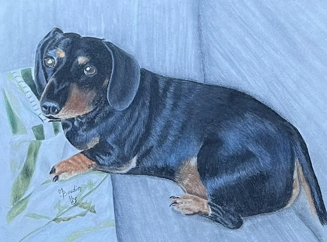 Dog 1.jpg