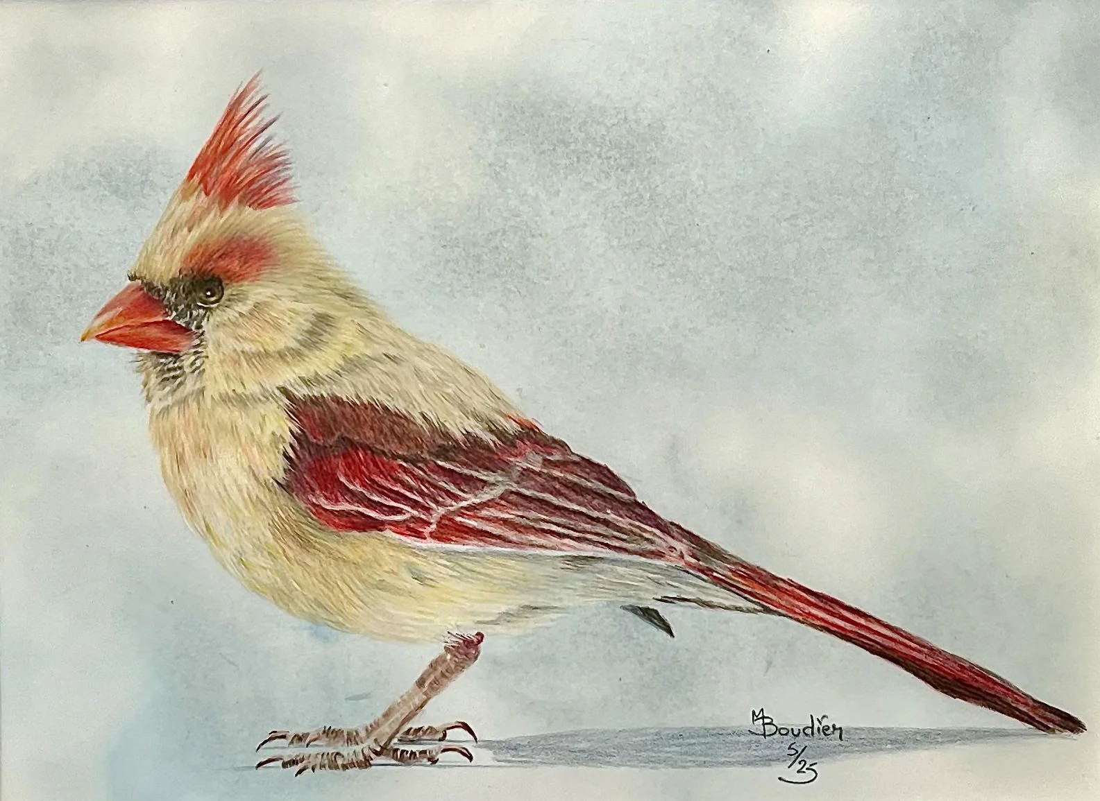 Bird 3.jpg