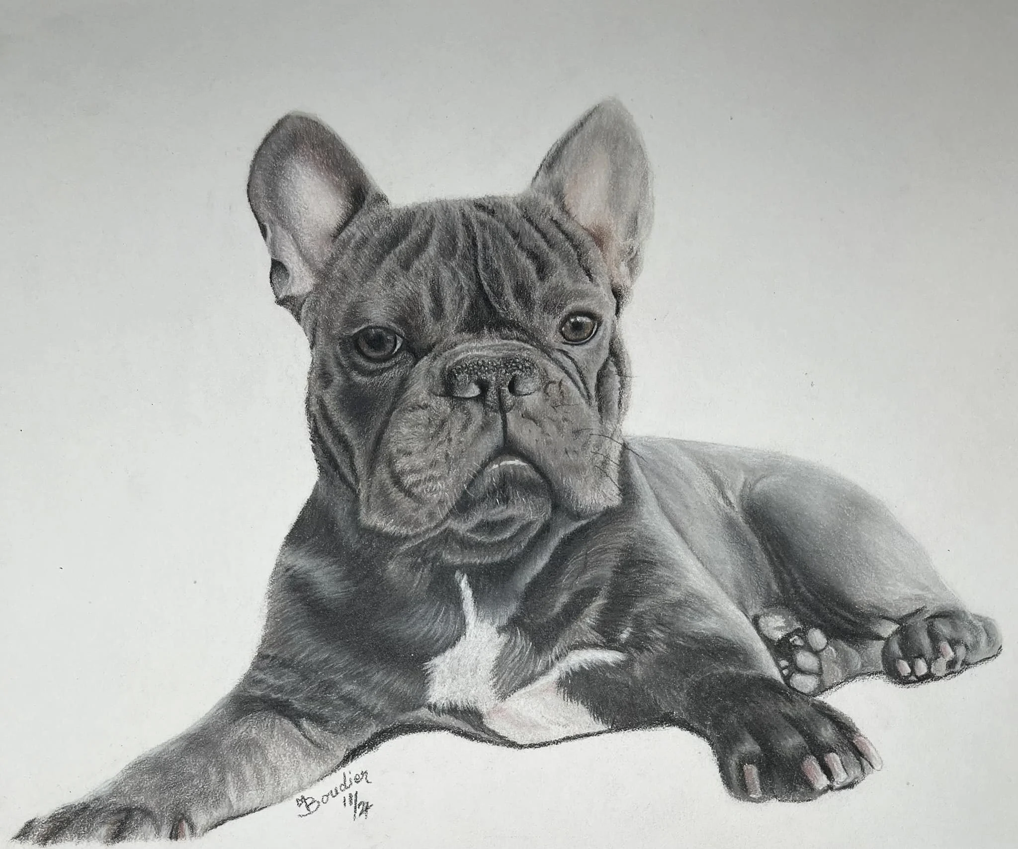 French Bull Dog.jpg