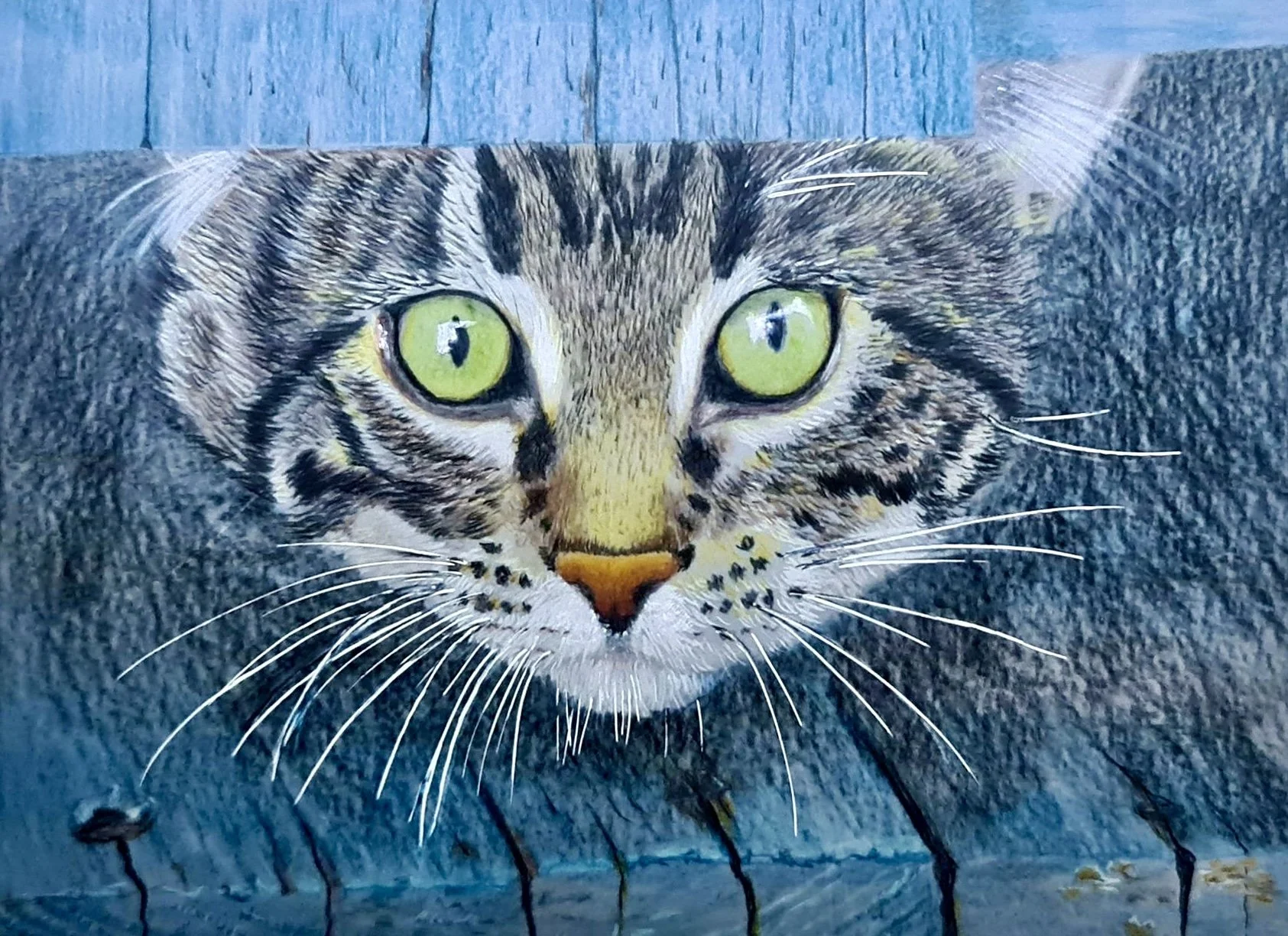 Tabby