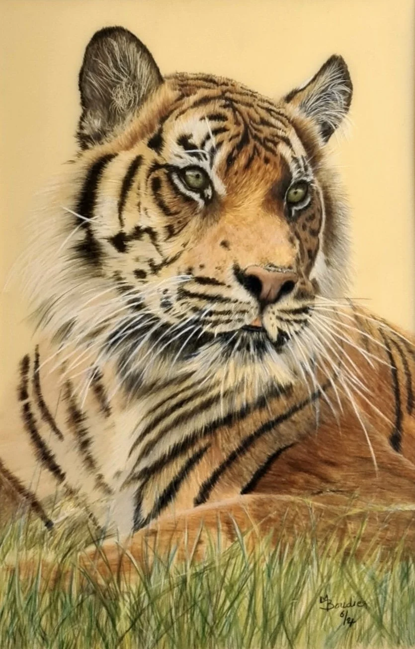Tiger 2