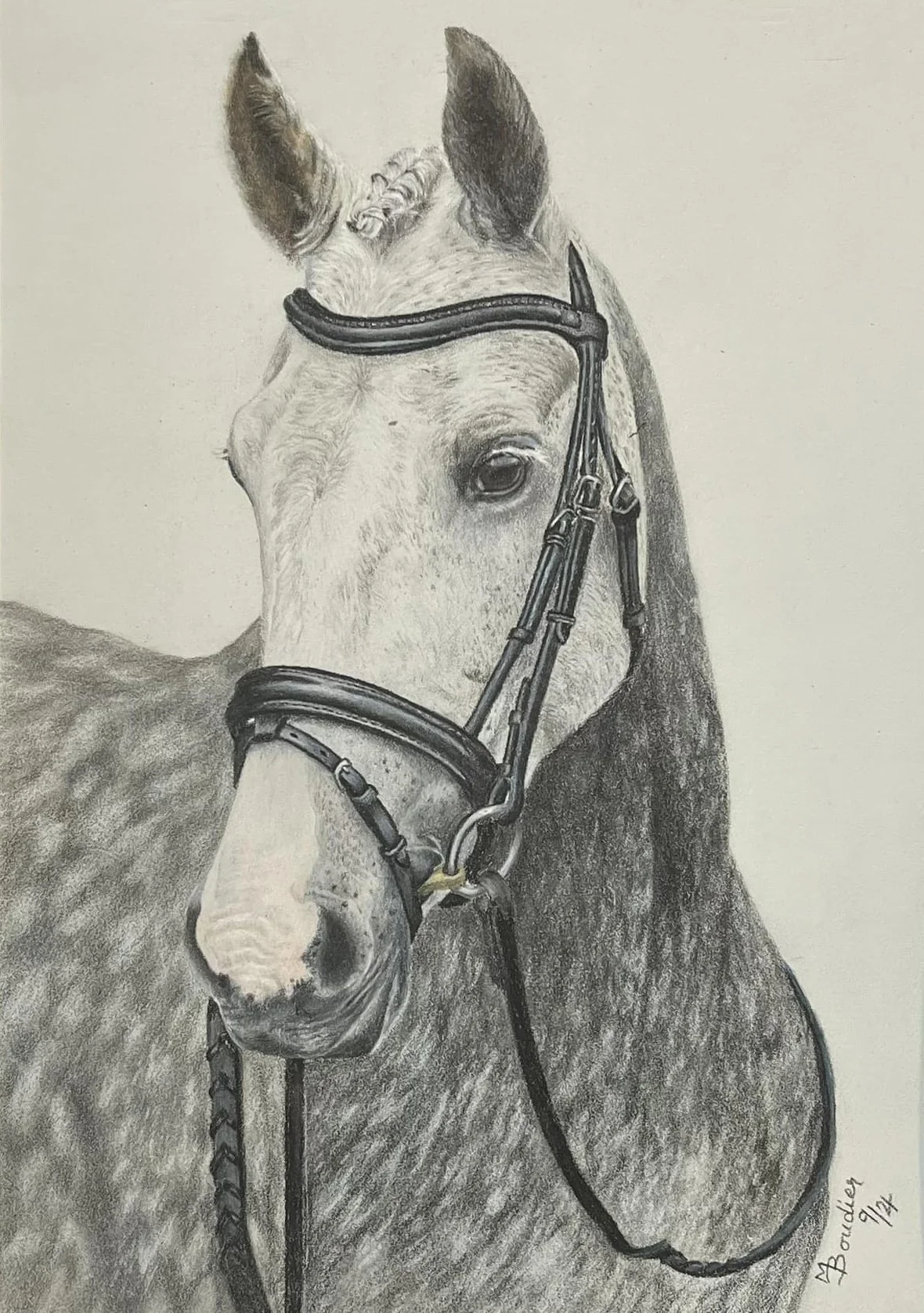 Horse 4.jpg