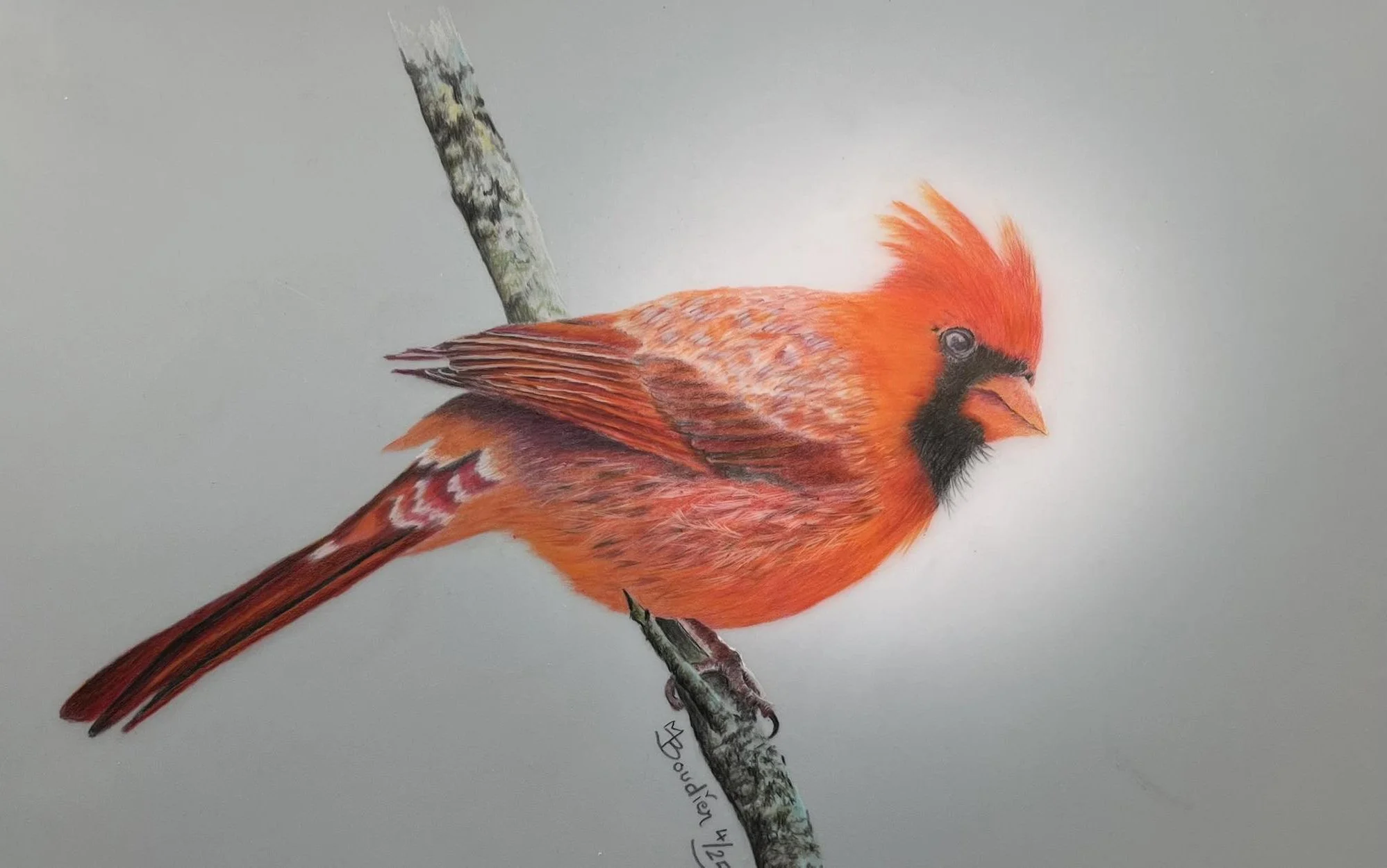 Bird 2.jpg