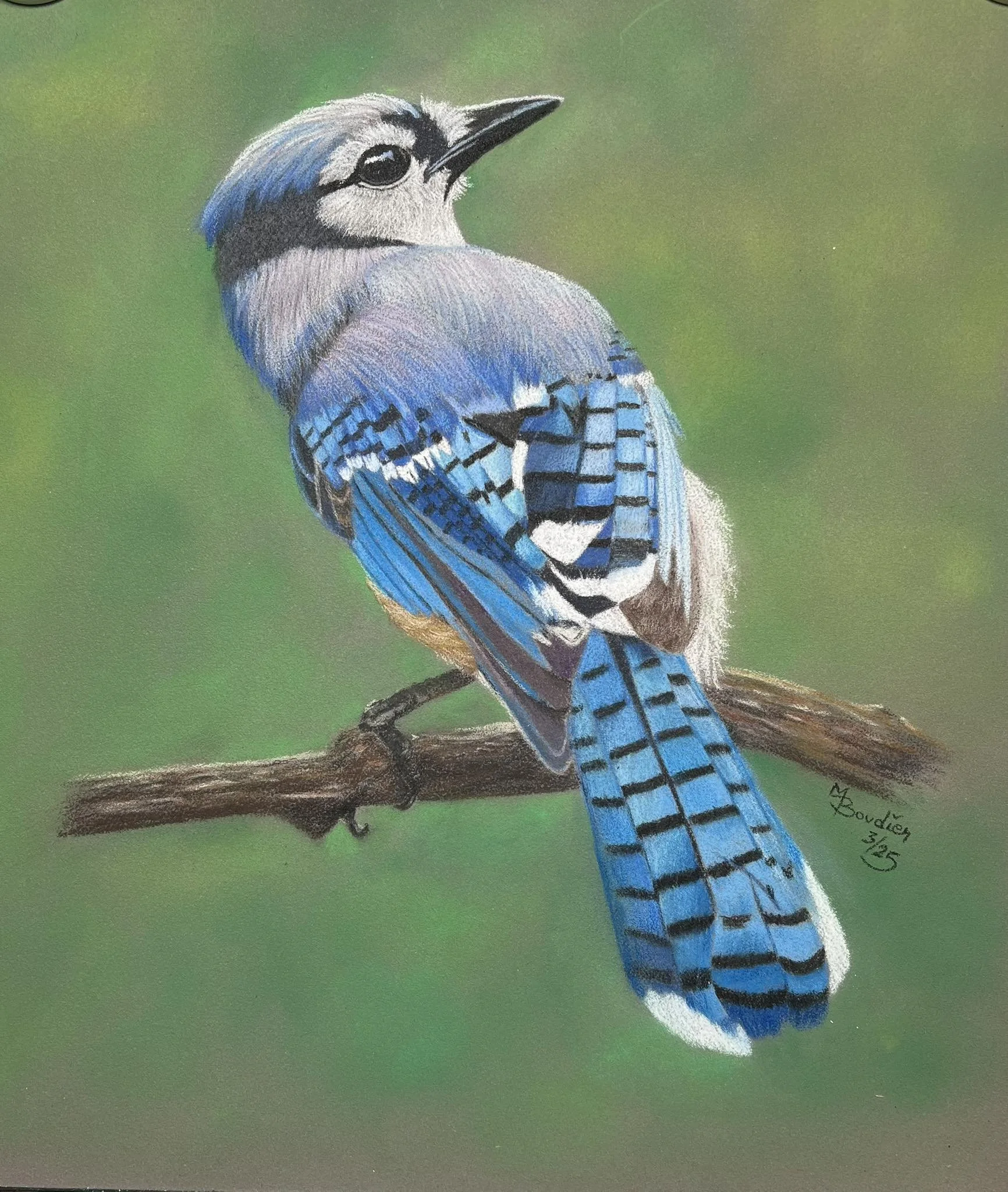 Bird 1.jpg