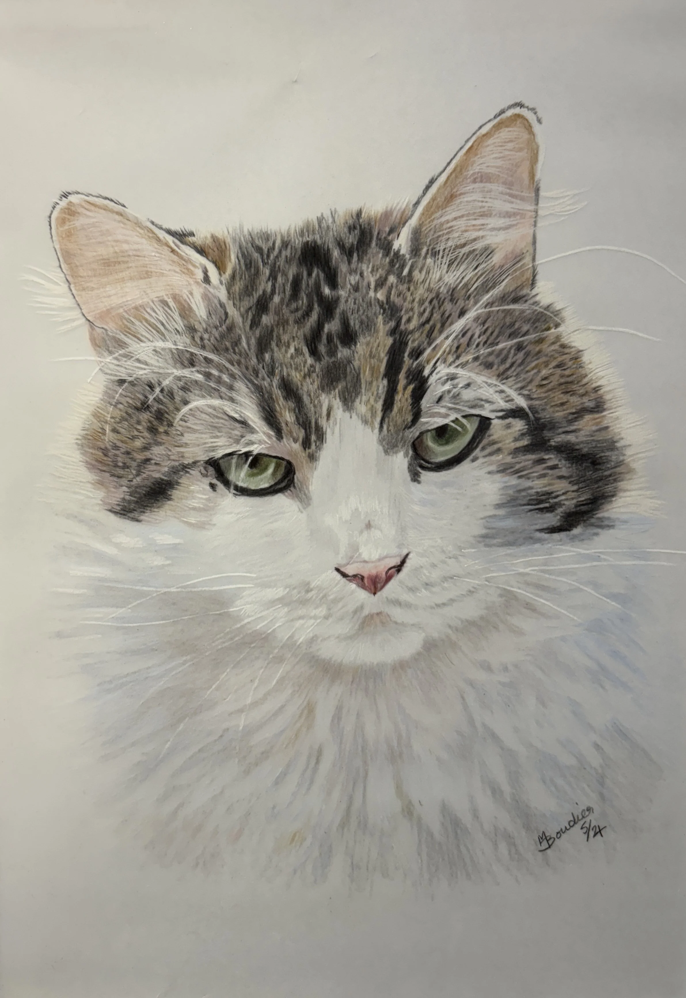 Frankie 1