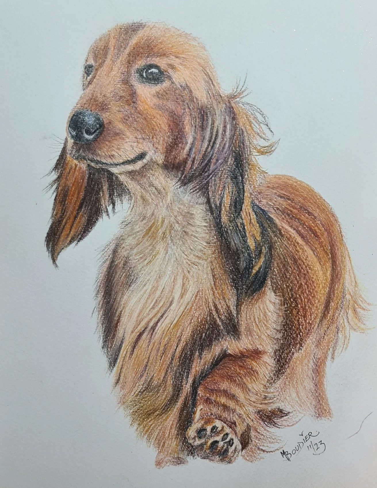 Dog 5.jpg