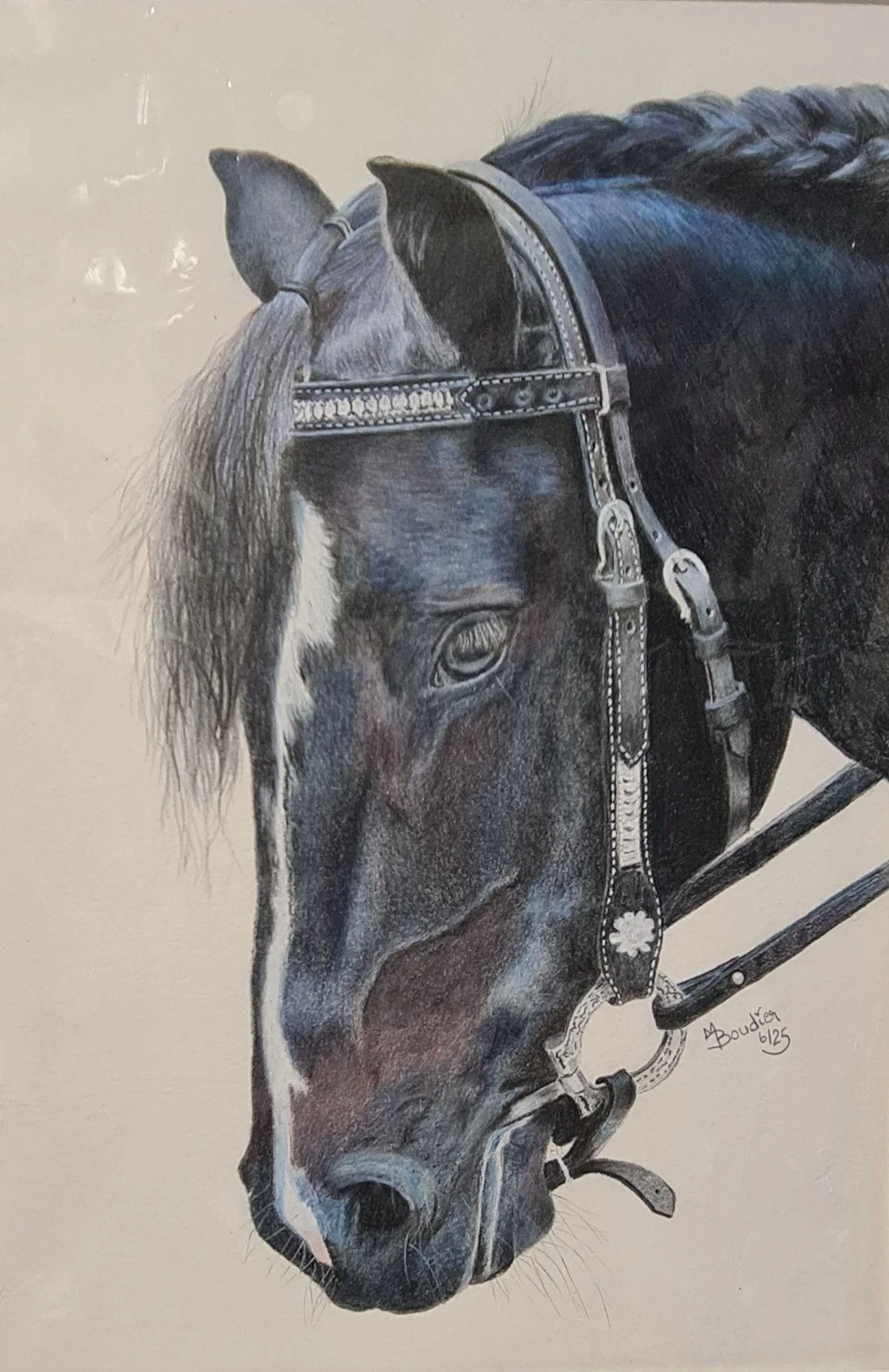 Horse 2.jpg