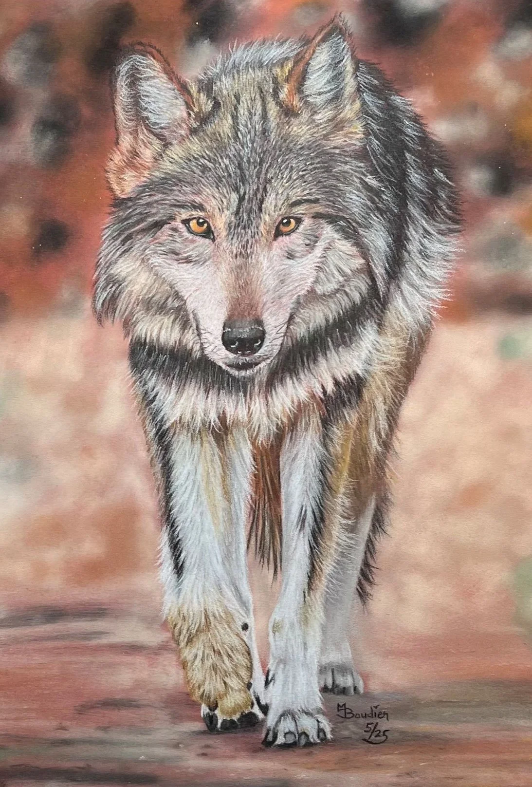 Wolf 1