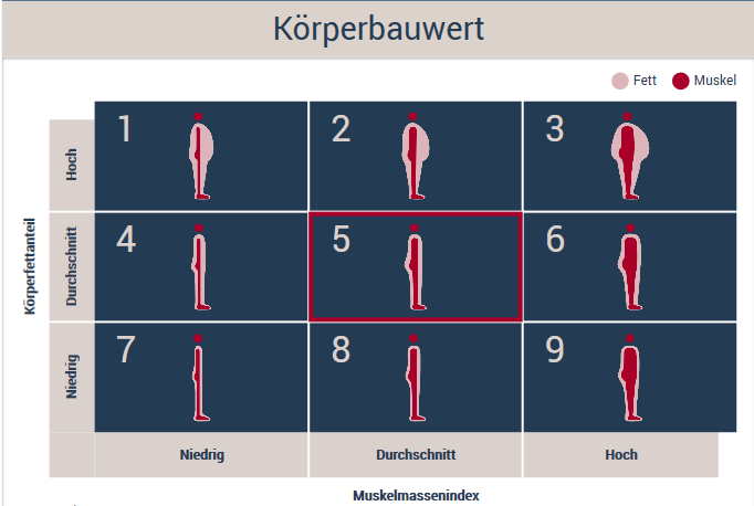 Grafik zum Körperbauwert der TANITA MC-780: eine Tabelle mit 9 Körpertypen, sortiert nach Körperfettanteil (niedrig bis hoch) und Muskelmassenindex (niedrig bis hoch). Typ 5 „Standard“ ist markiert.