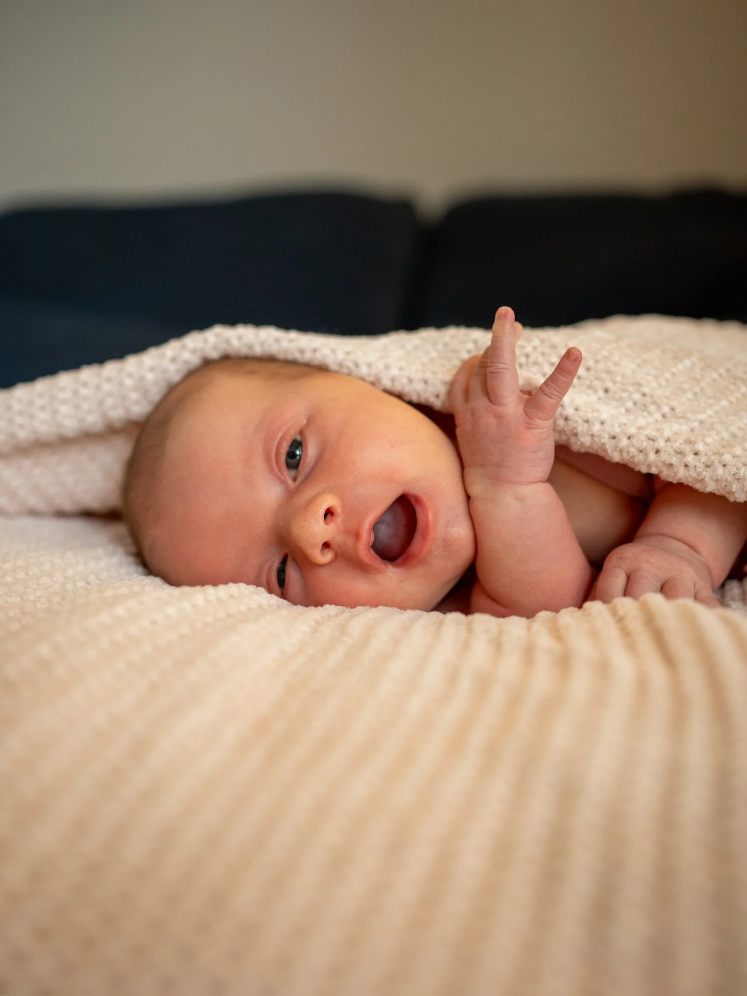 Newborn