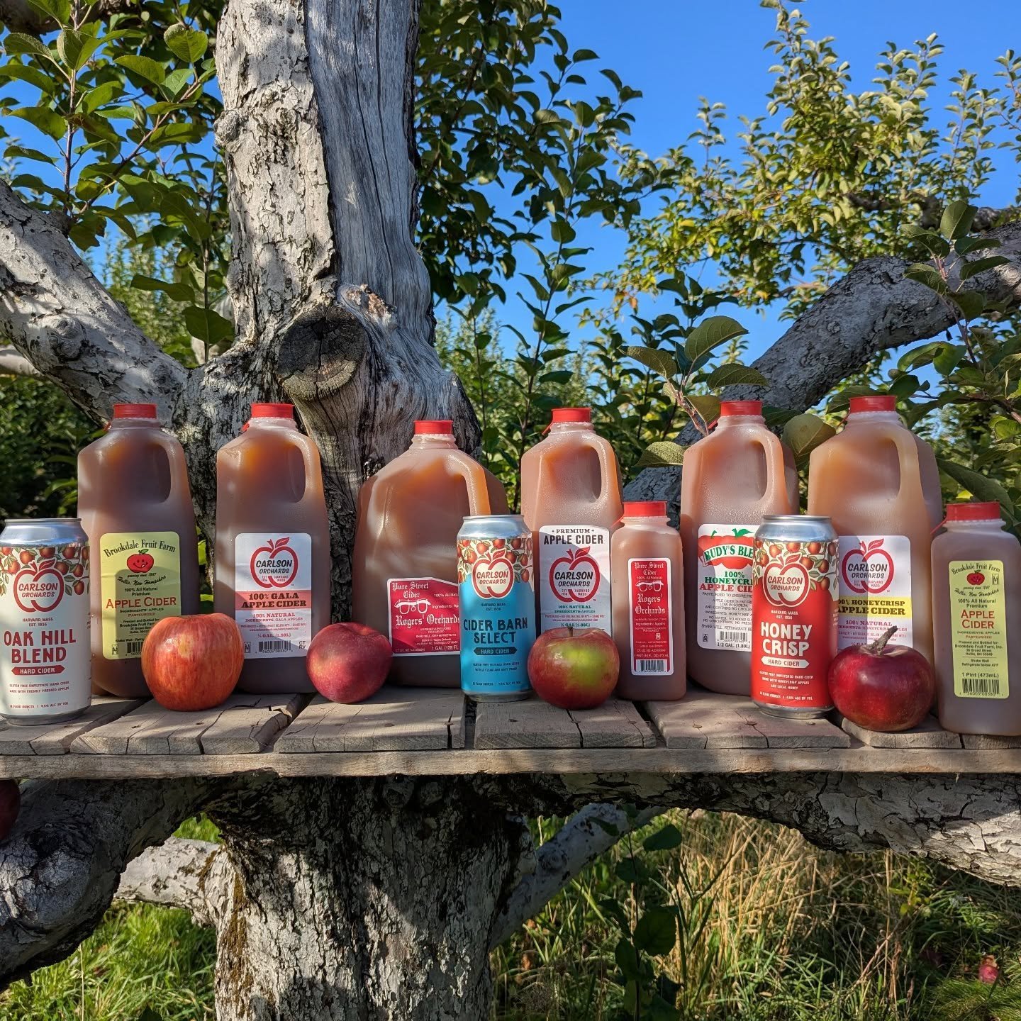 You may not see our name on every bottle&hellip; but chances are, you&rsquo;ve tasted what we do.

At New England Apple Products, we&rsquo;re the team behind many of your local favorites&mdash;from Rudy&rsquo;s Blend on the shelves at Market Basket t