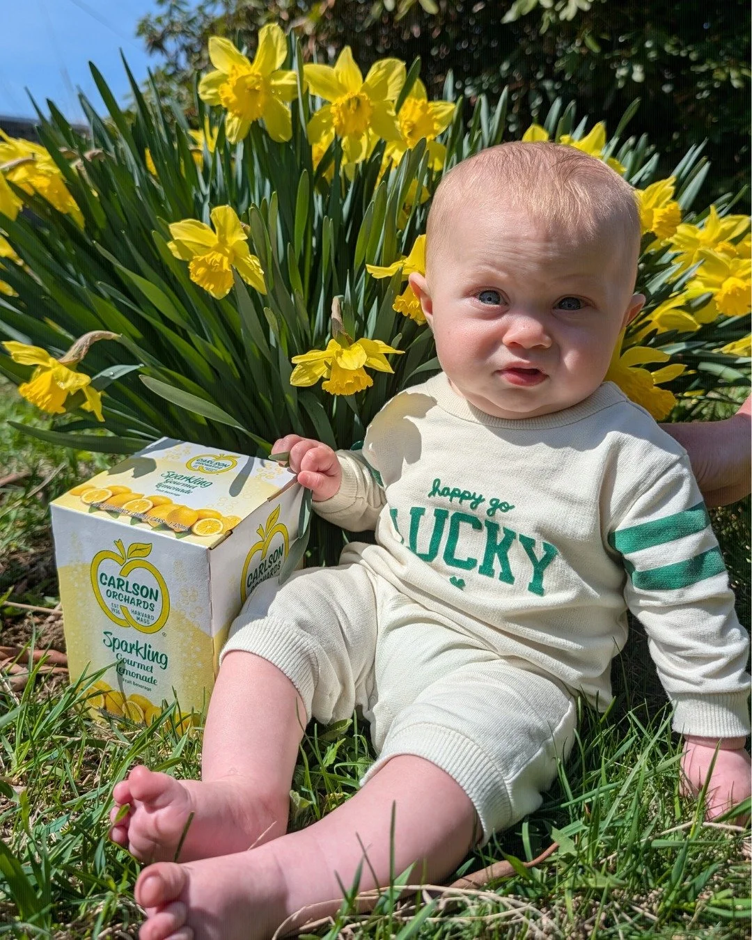 Newest Carlson&hellip; meet our newest favorite.

Sparkling Lemonade is here&mdash;showing up on shelves now and always available at the farm. Our gourmet lemonade, elevated with a light touch of bubbles, makes for a crisp, refreshing treat that&rsqu