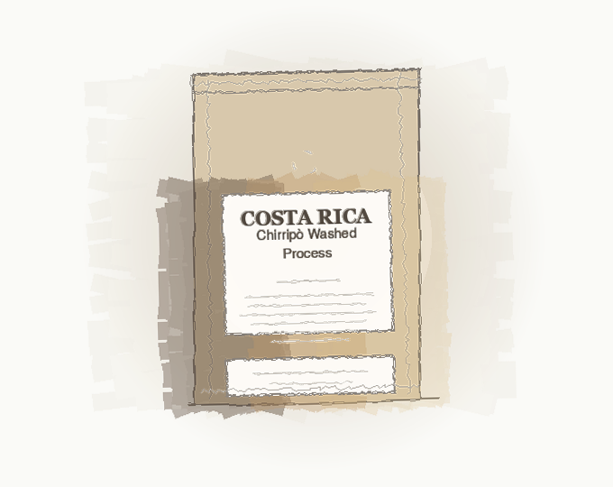 Costa Rica Chirripò Washed Process