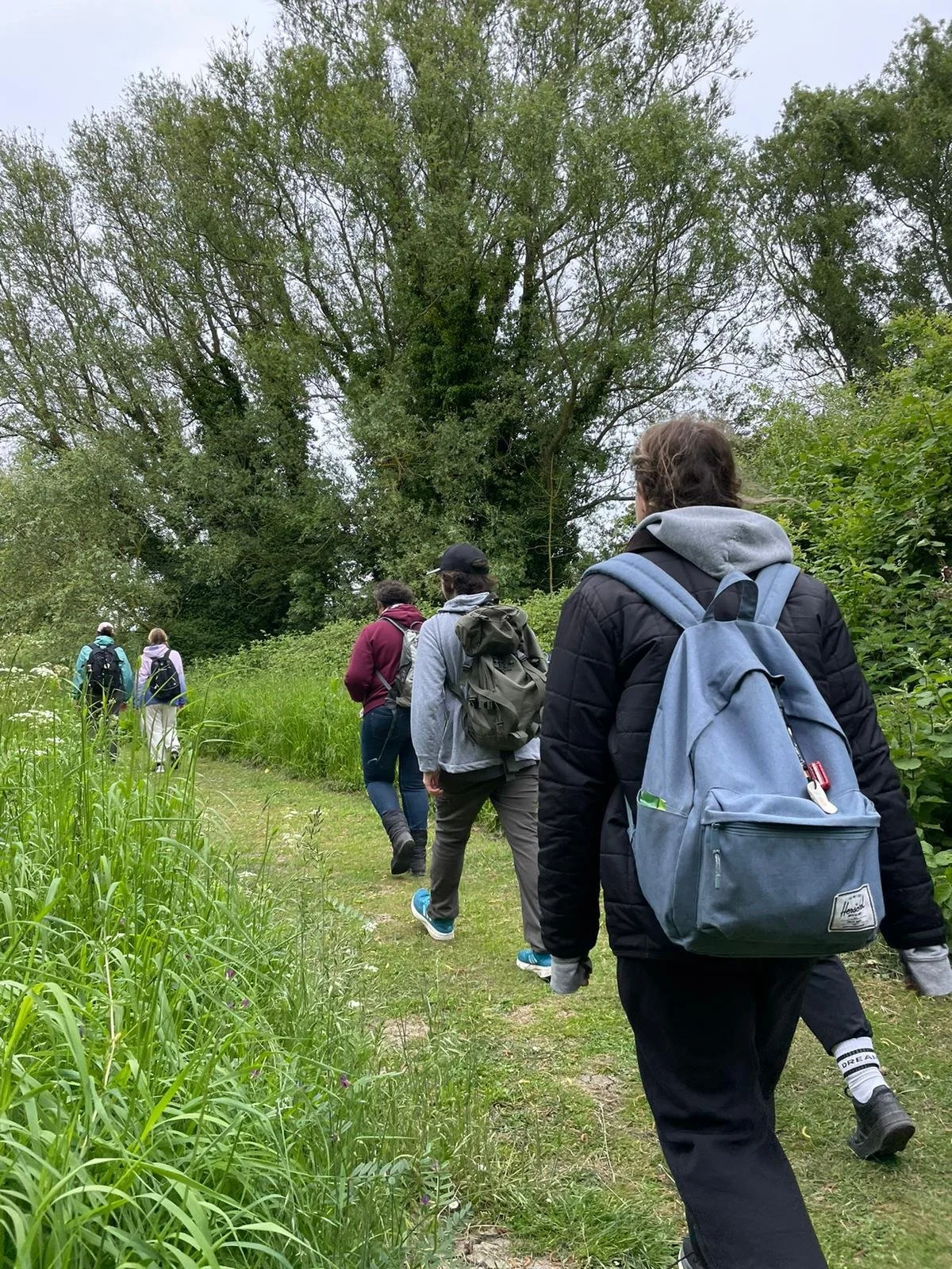 Group of people hiking on a trail surrounded by green trees and grass.