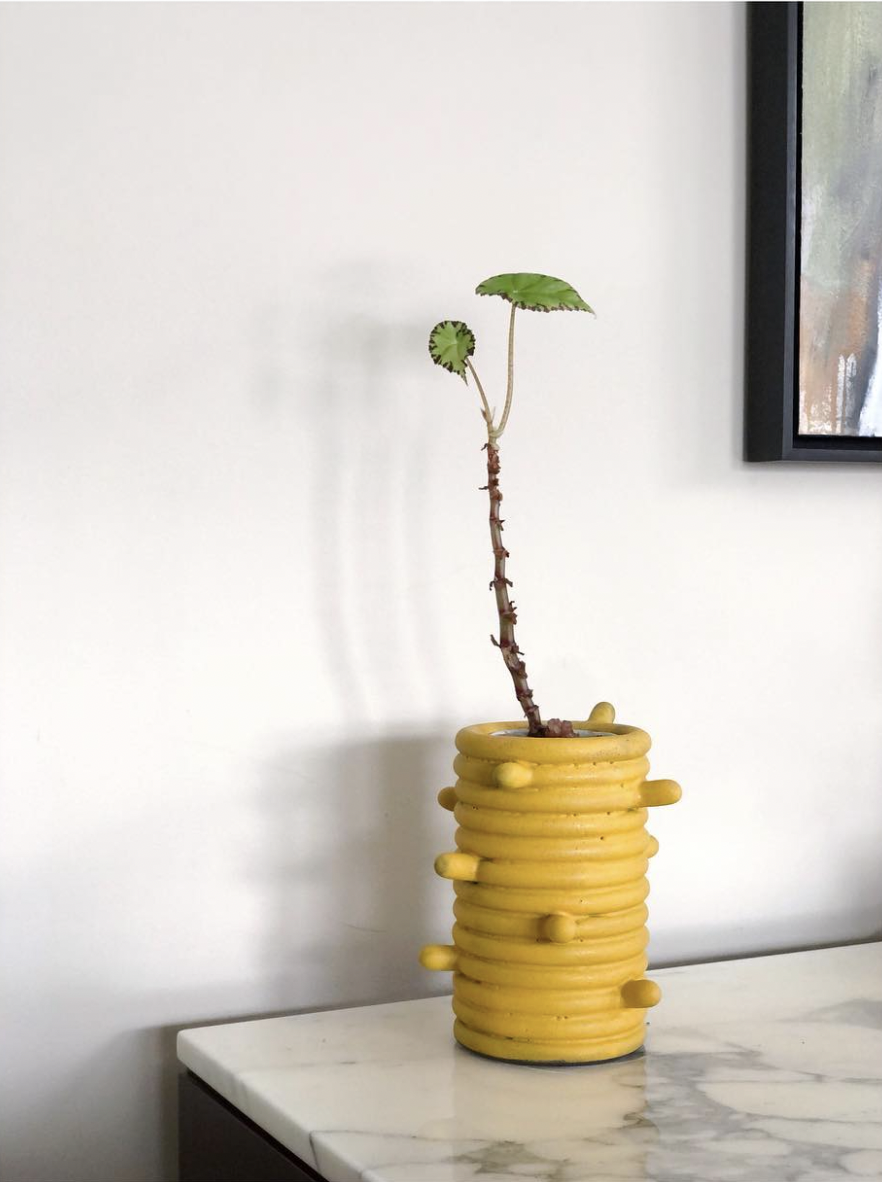 Screen Shot 2023-01-19 at 3.53.07 PM.png