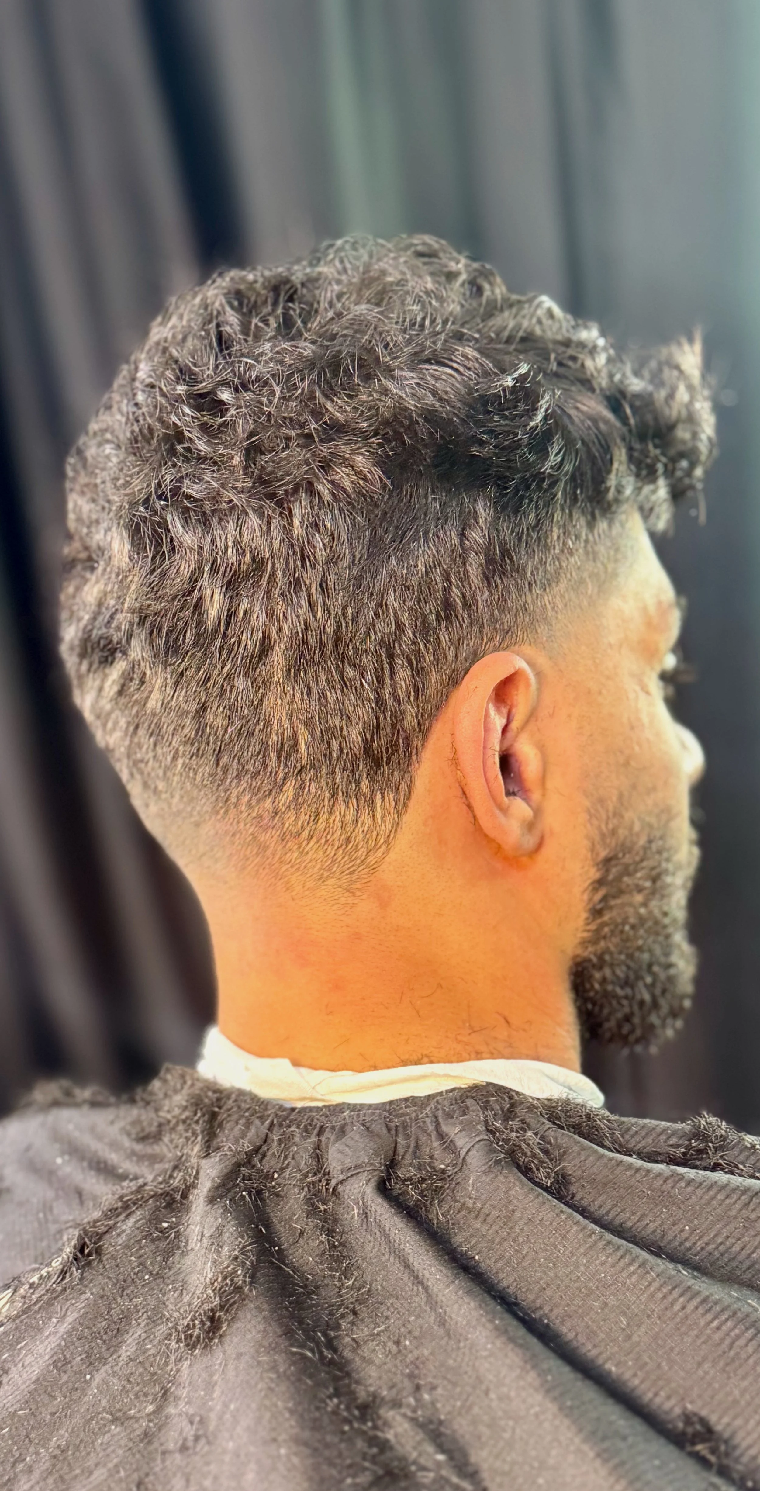 Side view of a man's short, curly hairstyle.