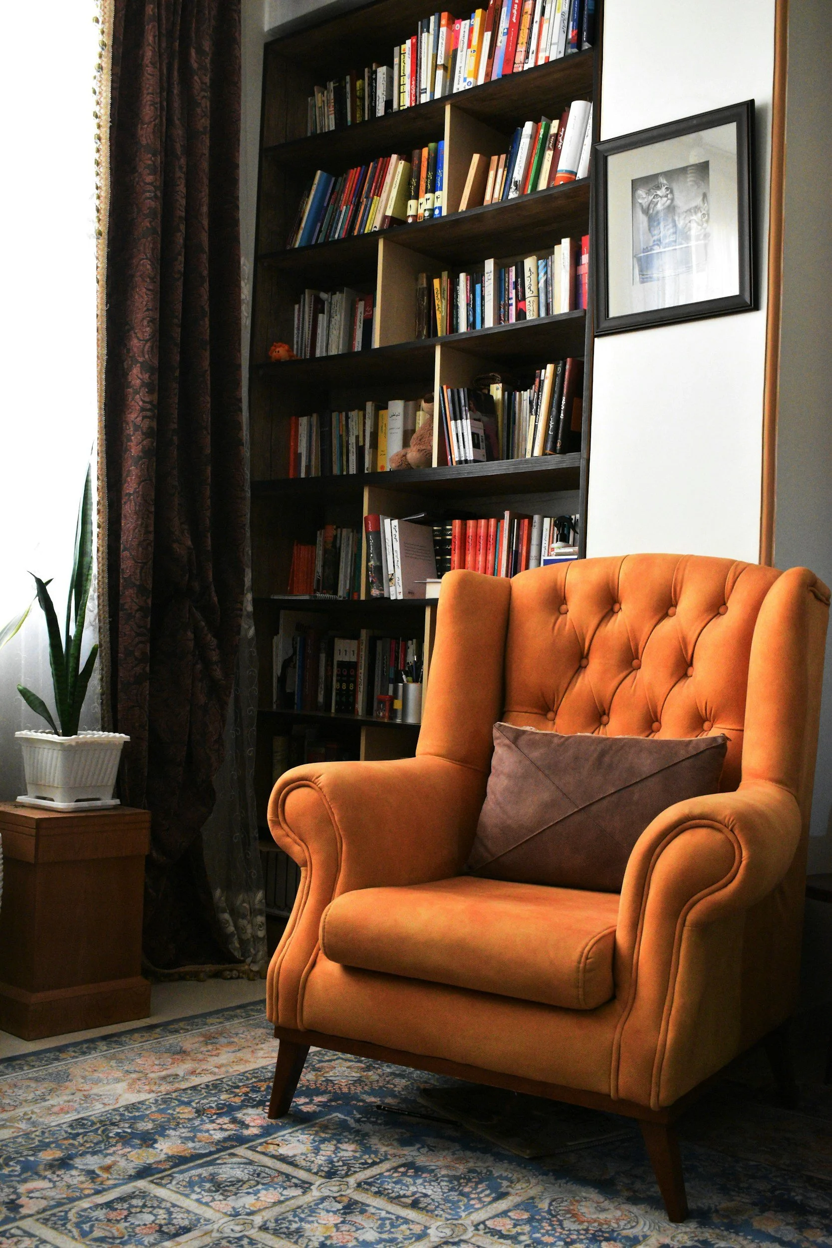 A cozy reading nook with an orange armchair, a brown pillow, a wooden side table with a potted plant, an adjacent bookcase filled with books, and a framed photo of two cats on the wall.