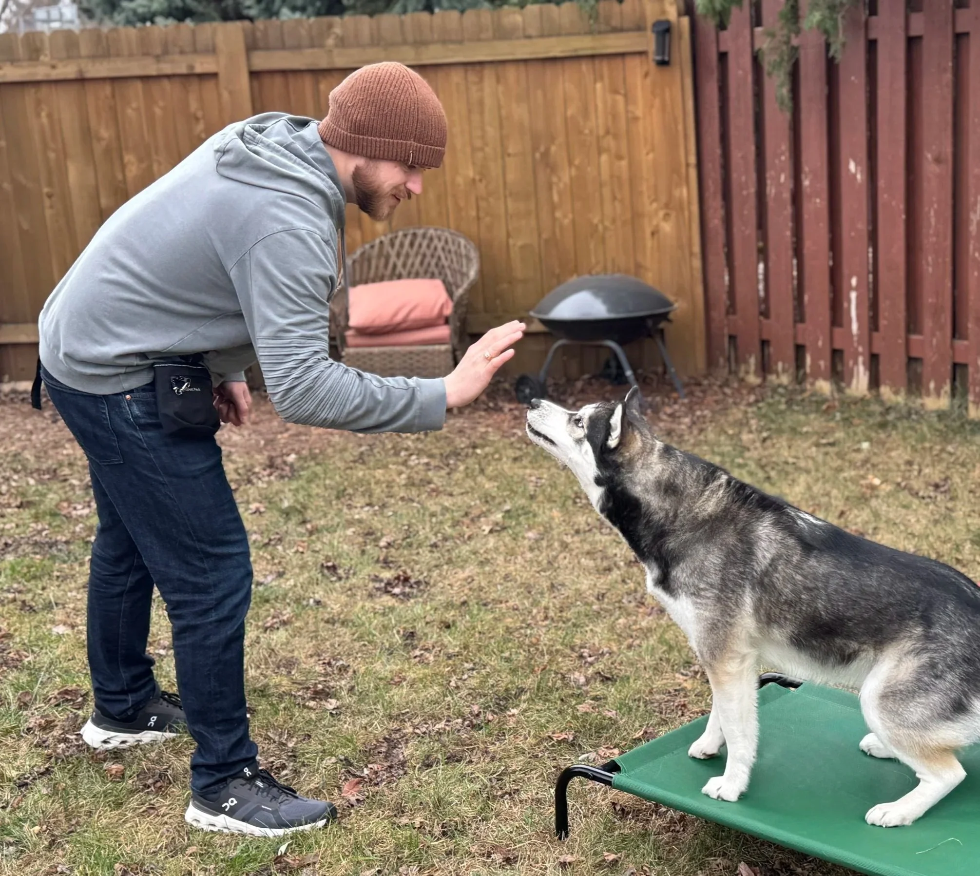 best-dog-trainer-madison