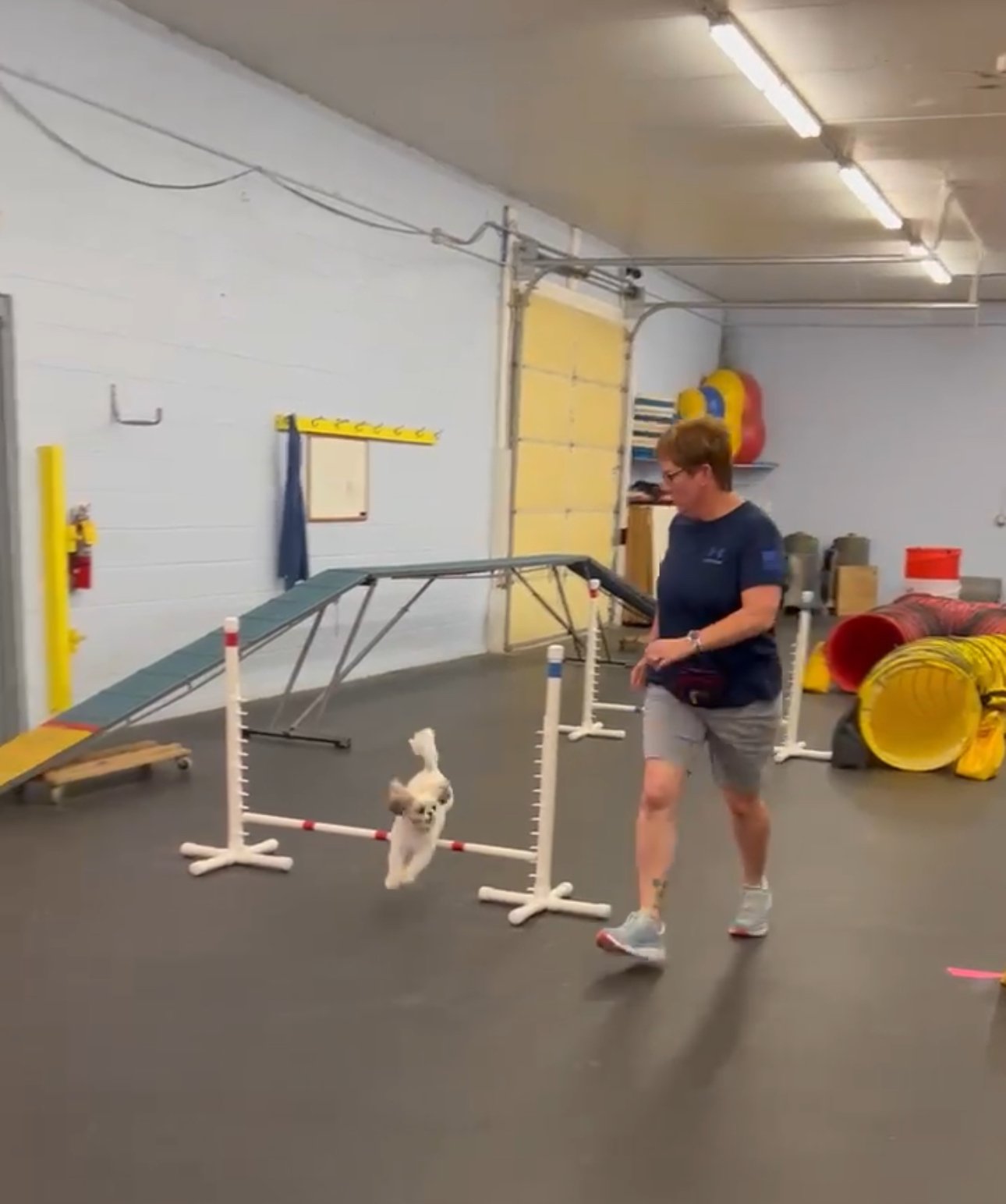 Agility & Rally 2.jpg