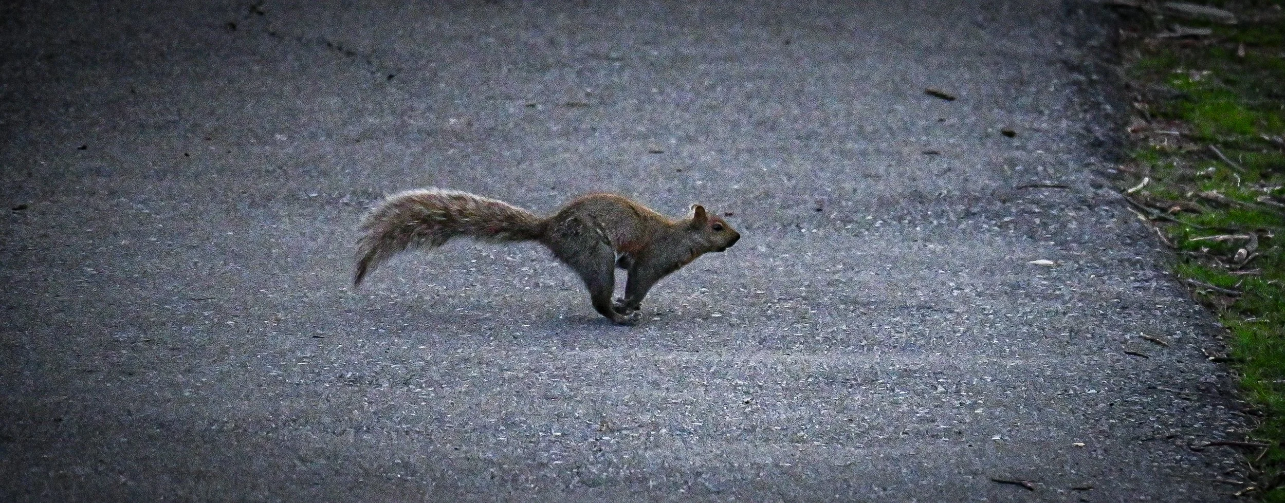 DSC_7115.jpg
