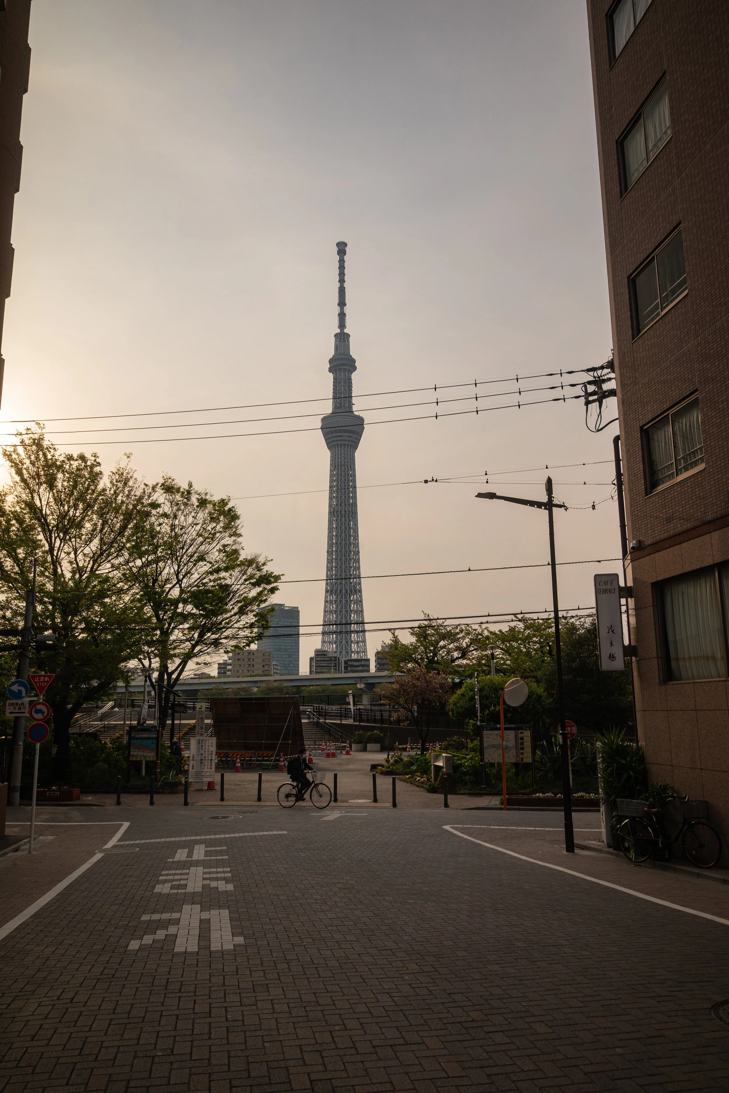 DSC_0515.jpg