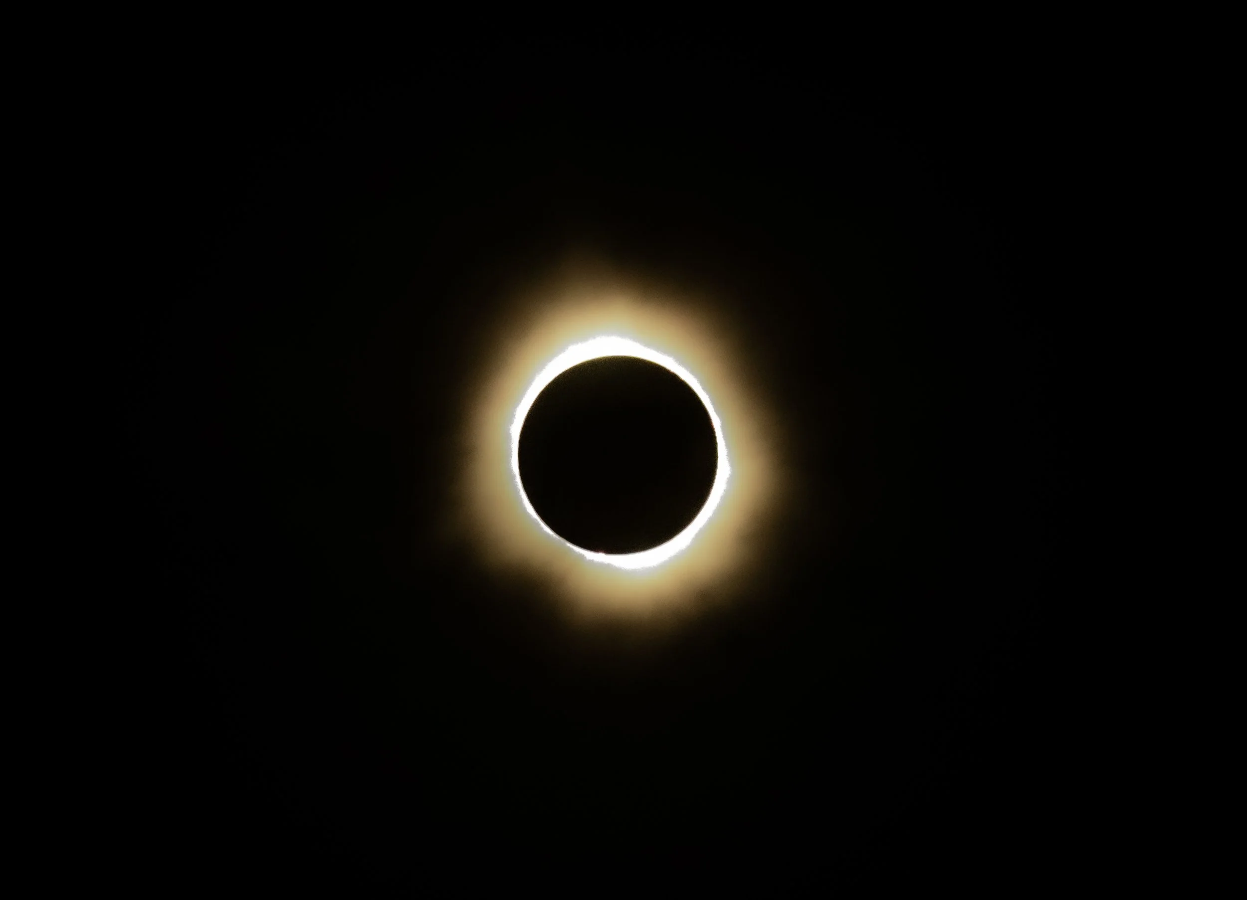 DSC_6786.jpg