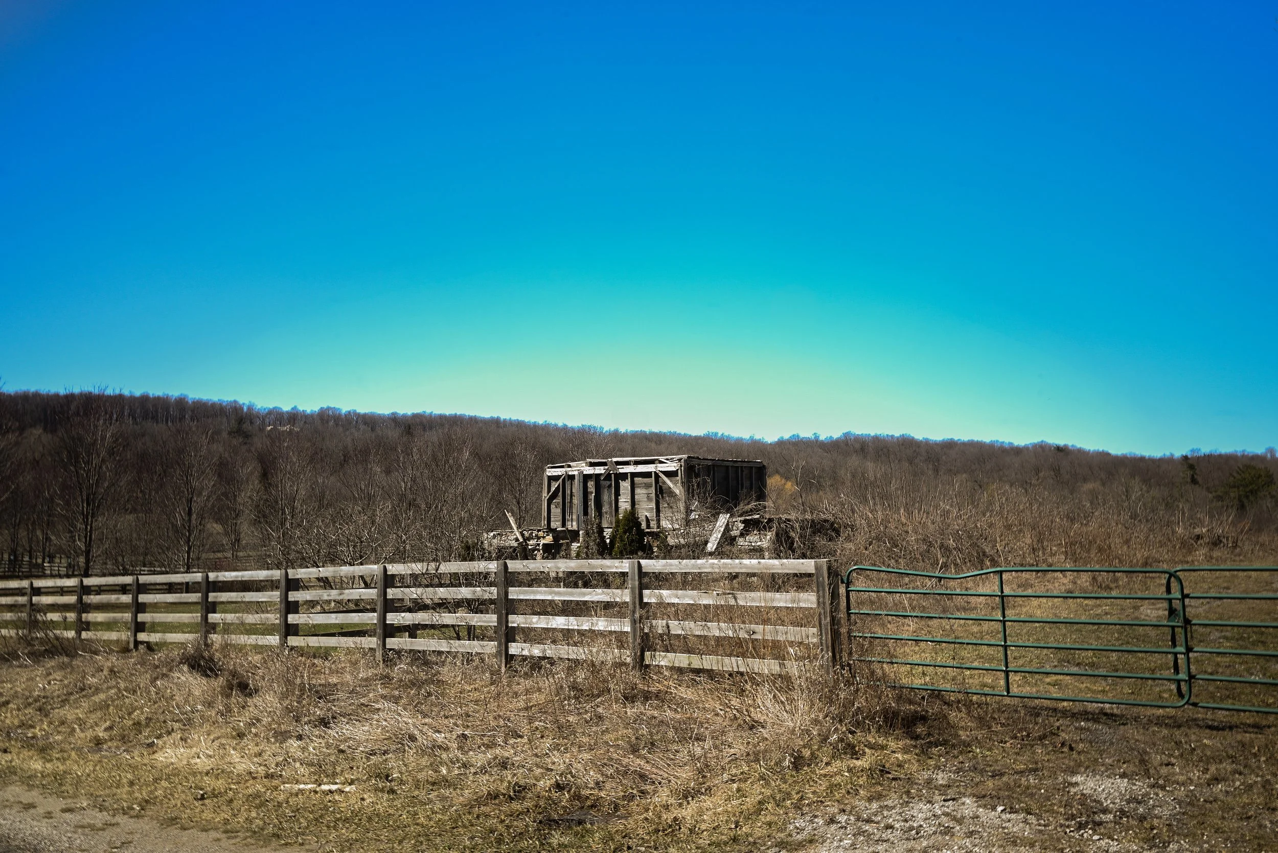 DSC_9423.jpg