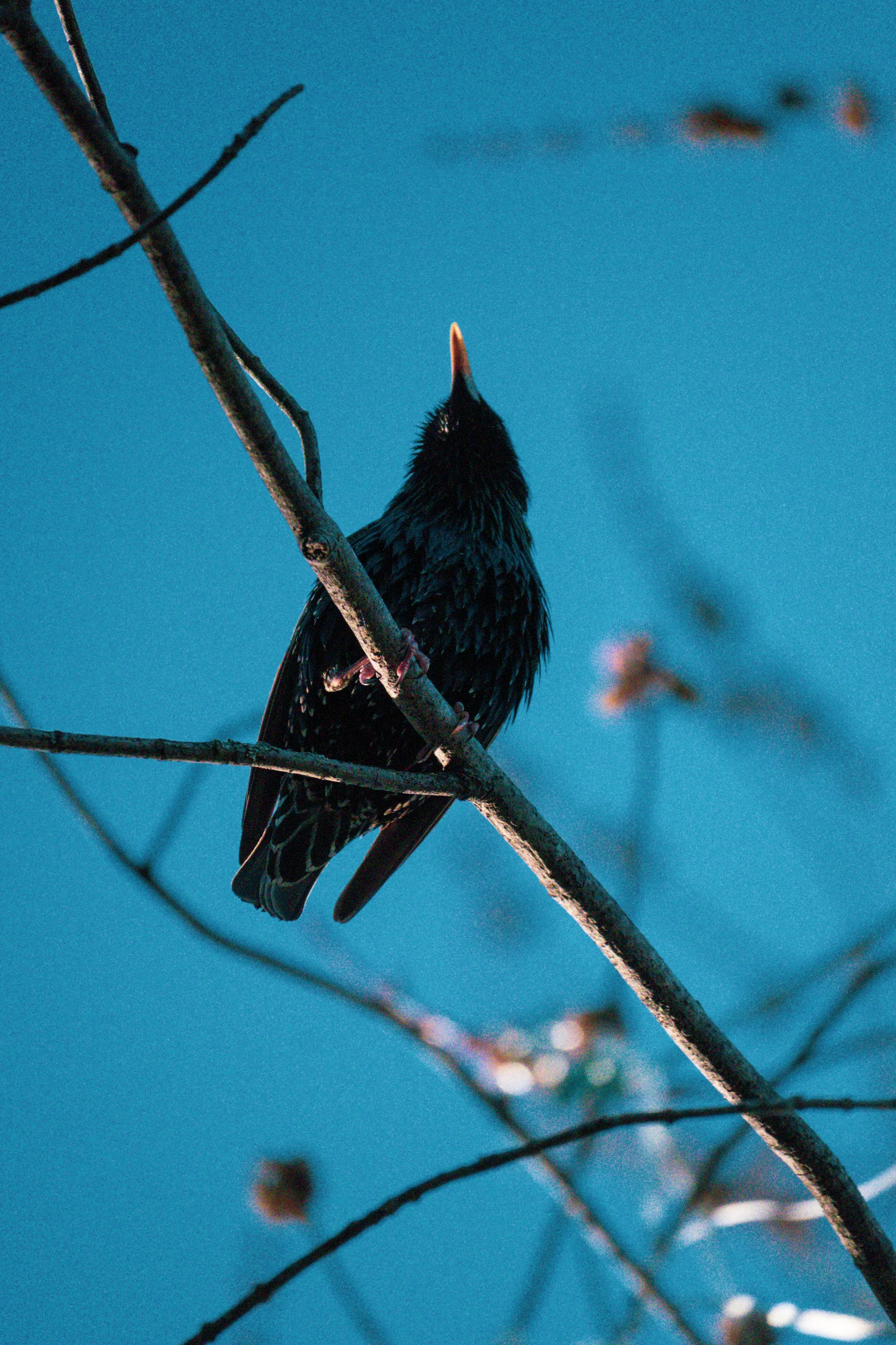 DSC_7073.jpg