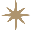 A stylized beige star with eight points on a black background.
