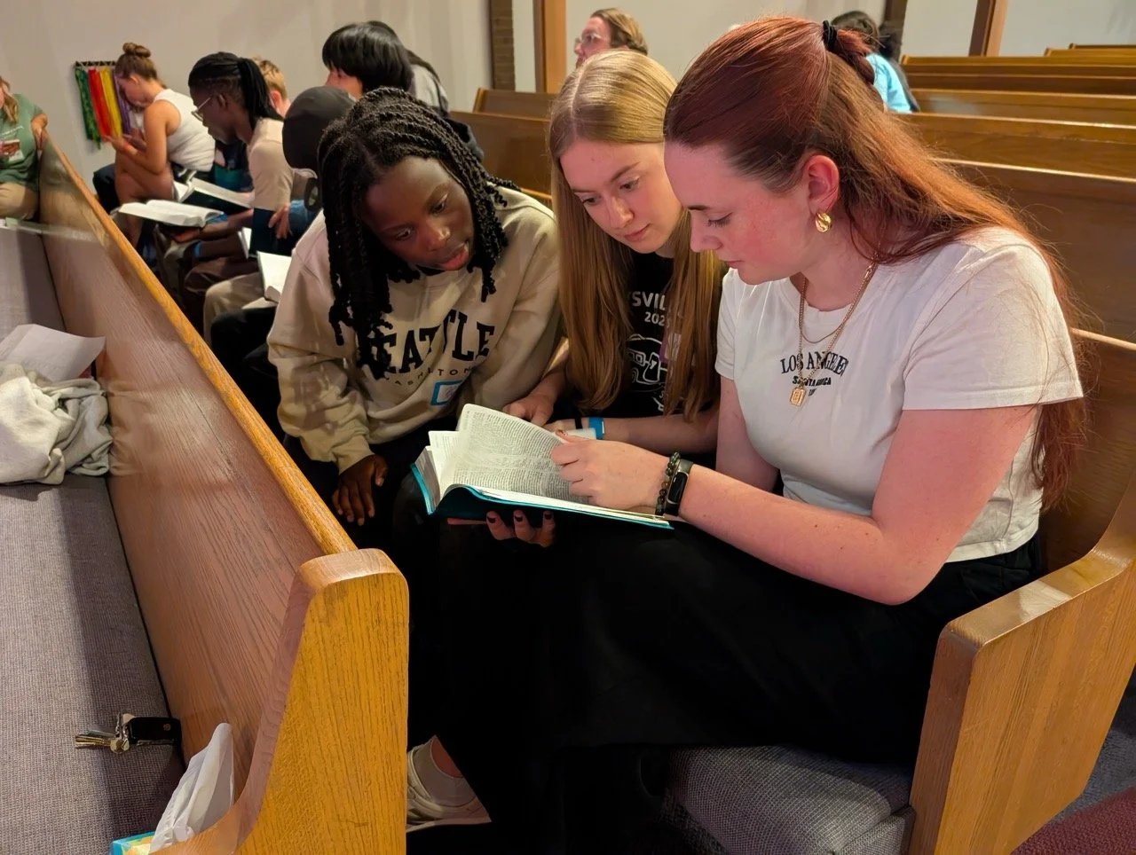 PXL_20250816_044443079.MP Large.jpeg