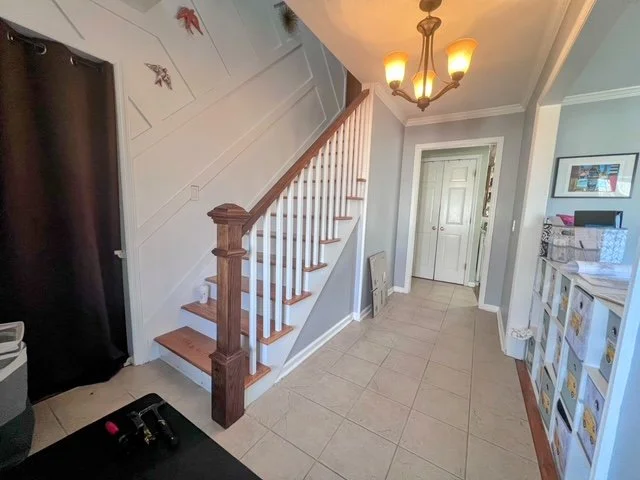 image11.jpeg