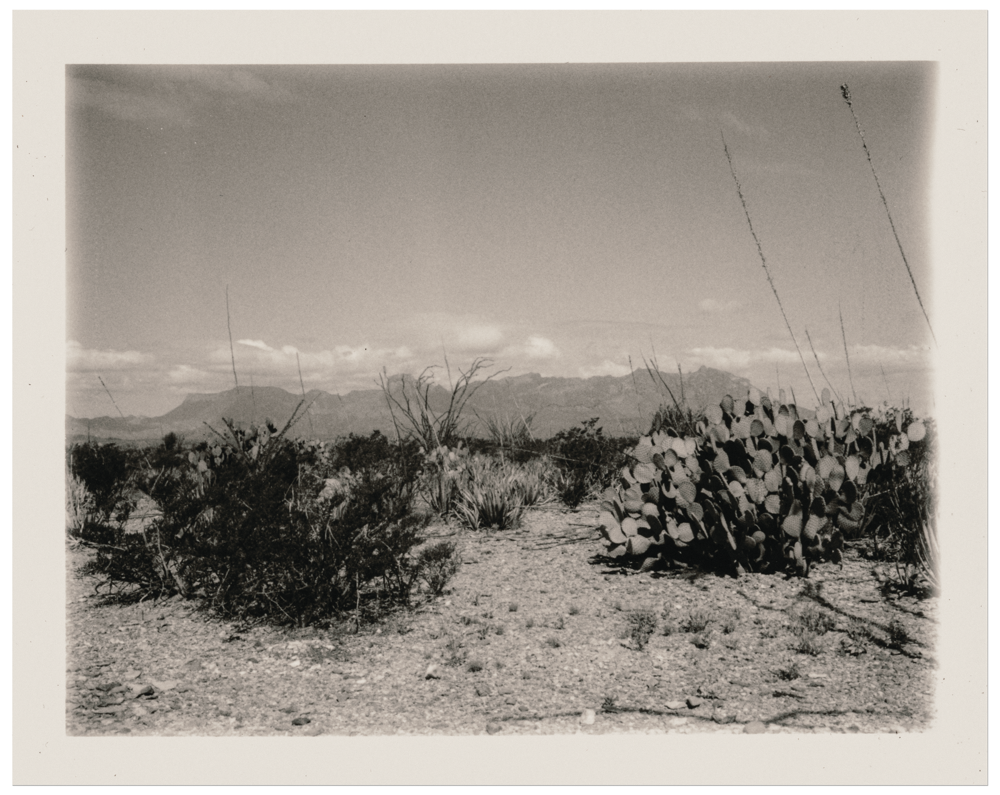 polaroid026.png