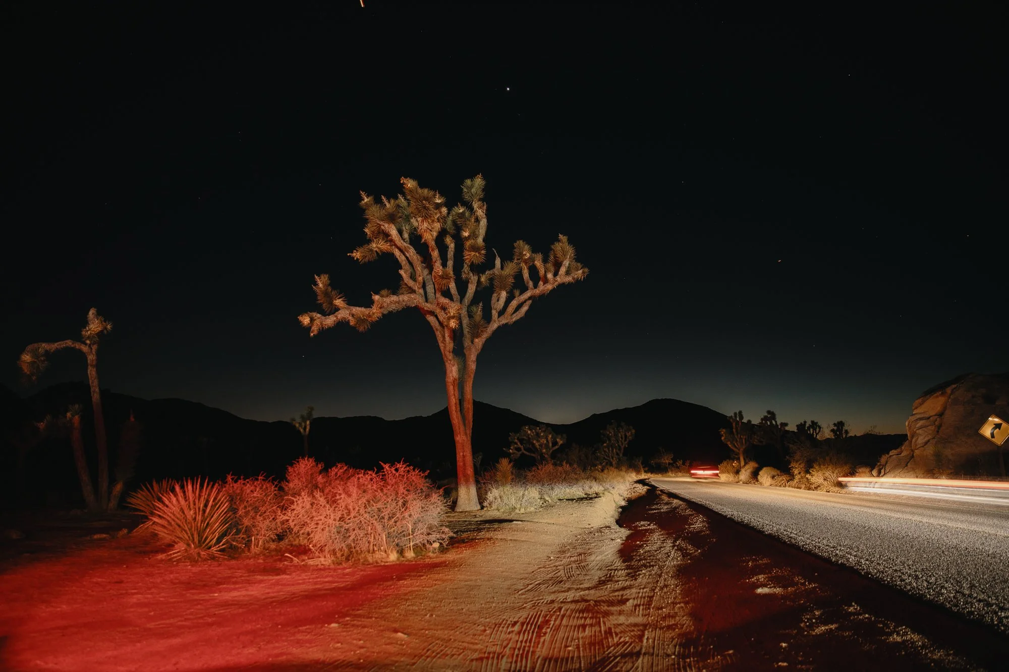 JOSHUA TREE, CALIFORNIA