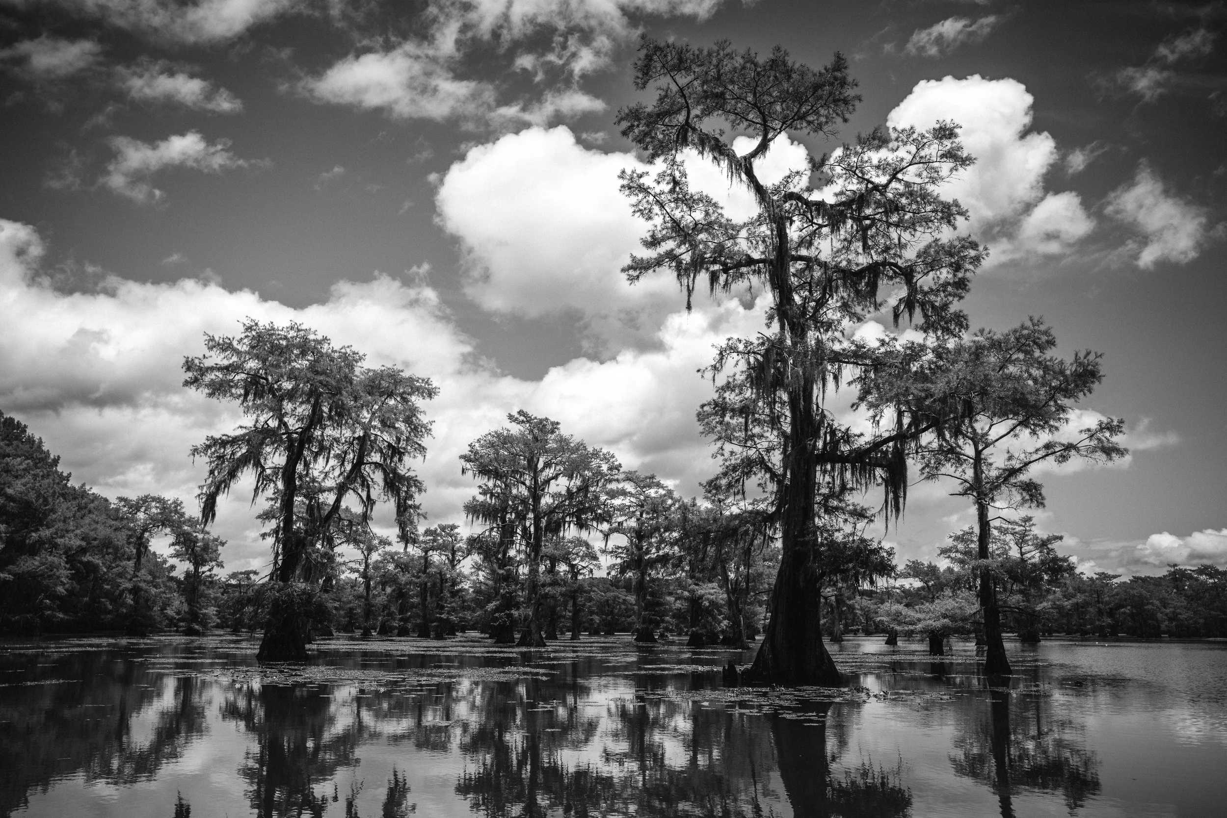 CADDO LAKE, TEXAS