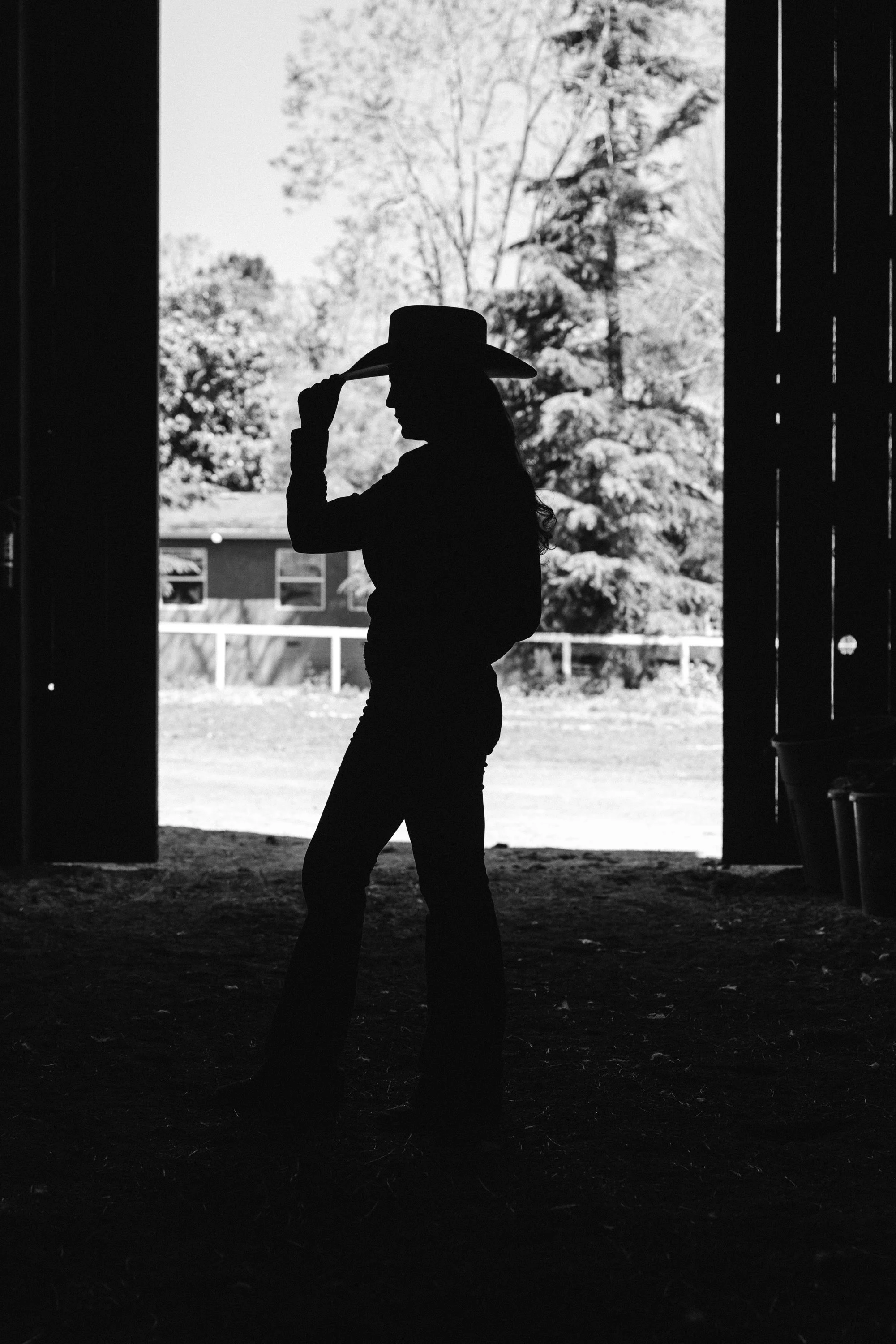 CHARLIE 1 HORSE