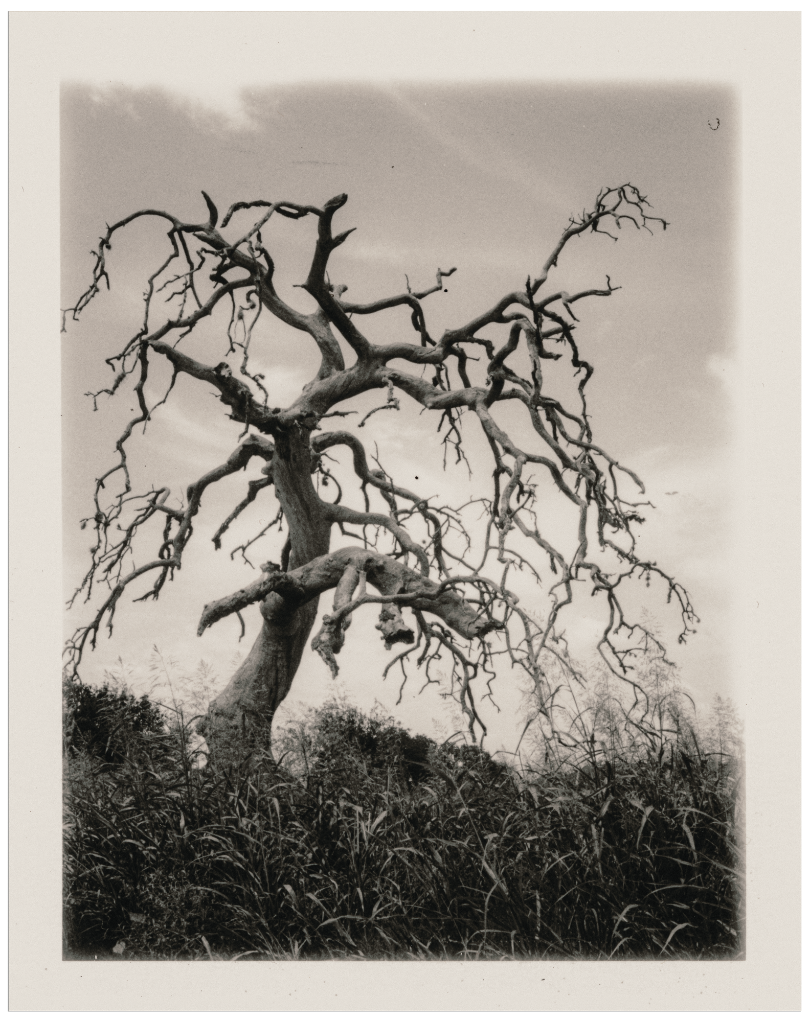 polaroid005.png