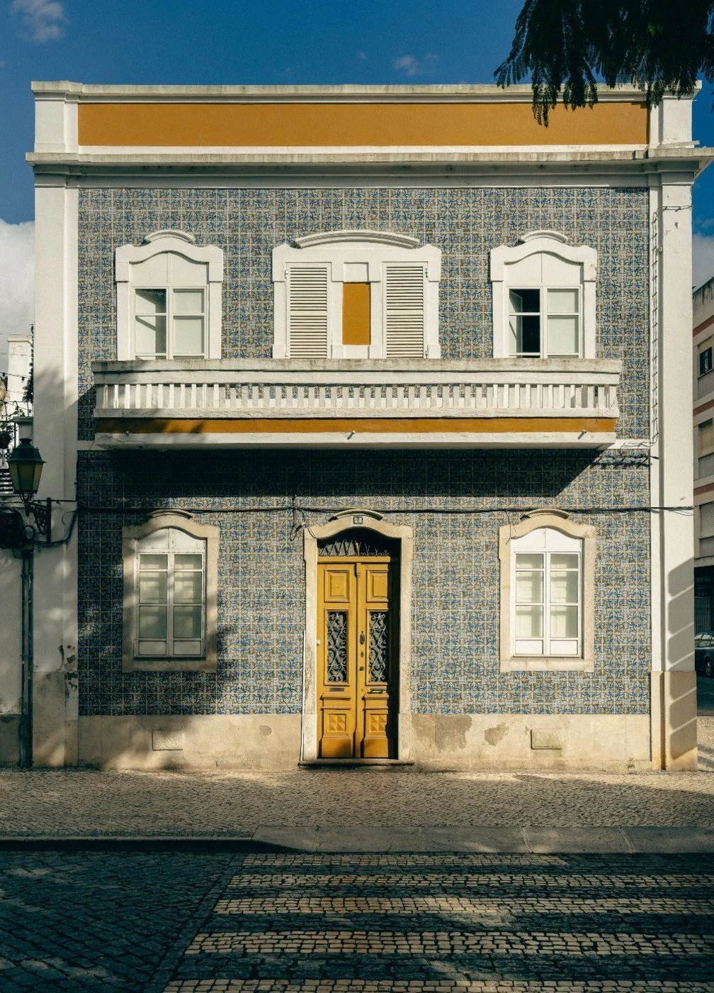 pexels-ahmetyuksek-17564743.jpg