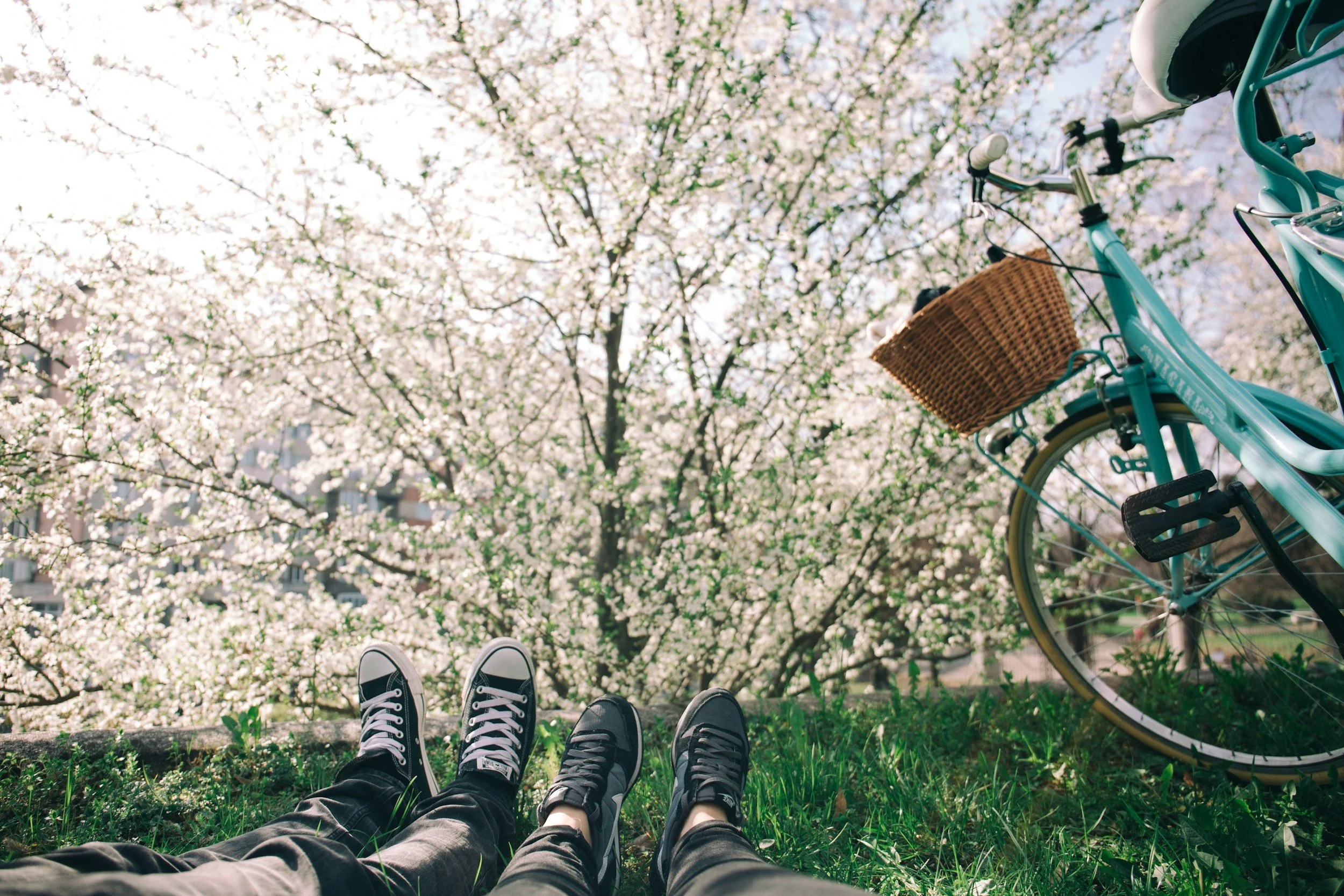 A couple relaxes in the grass beside their bikes beneath blooming cherry blossoms, capturing the kind of intentional, playful time together that supports a relationship reset and that couples therapy in St. Louis, MO helps partners make space for.