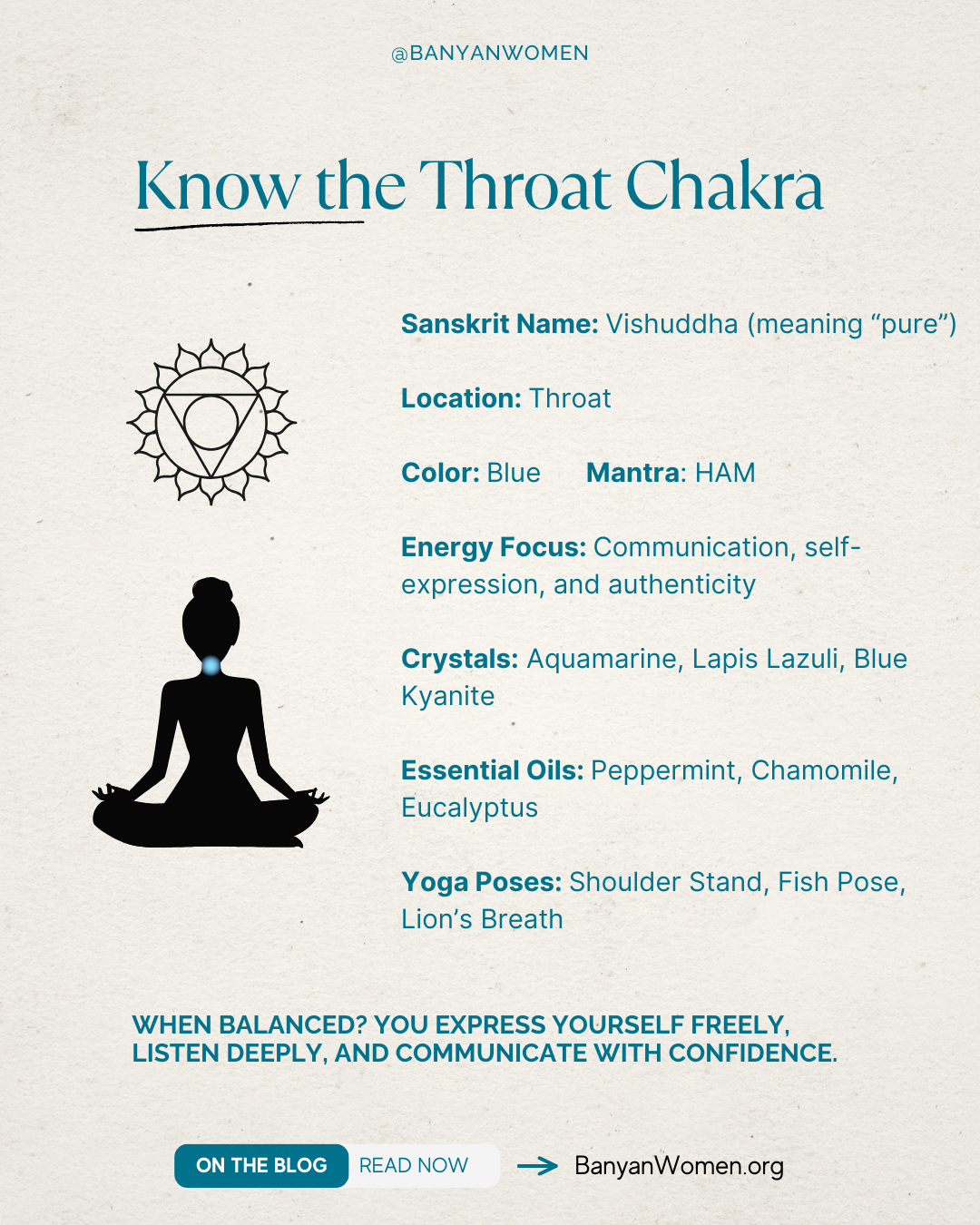 Women’s Wellness Blog, Holistic Health Tips, Bay Area Women’s Collective