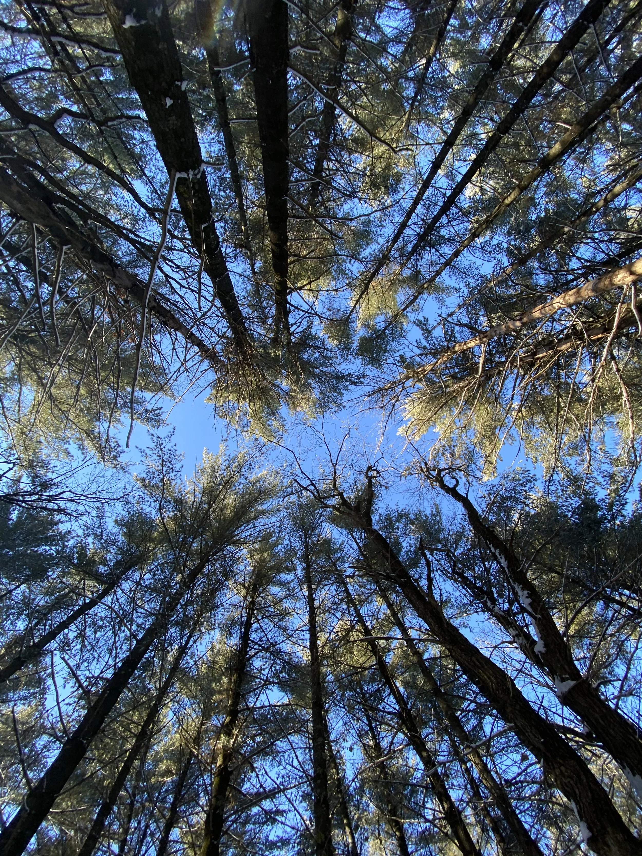 Choosing Rest: A Return to Living, Not Just Existing