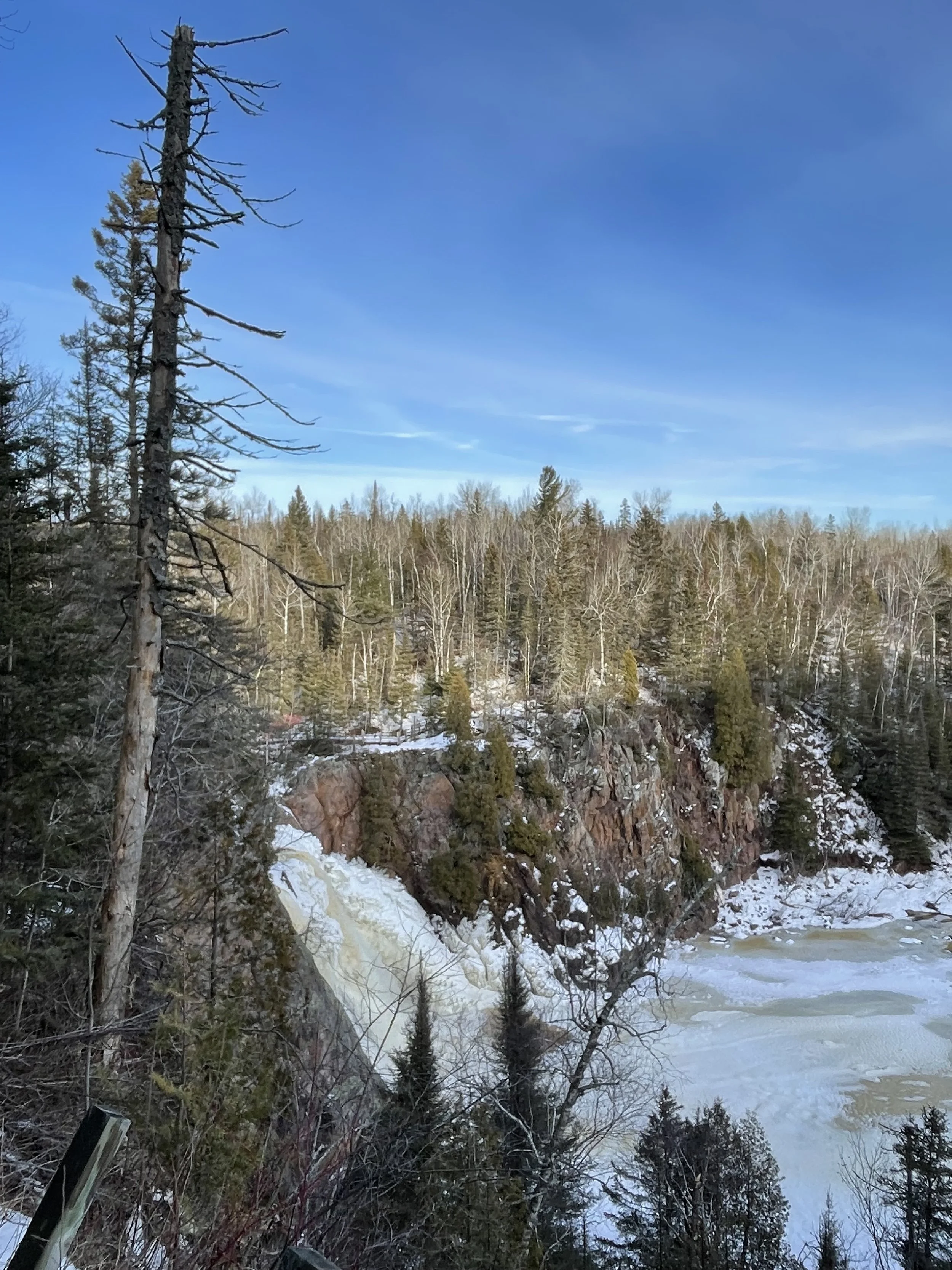 Wintering Well: 10 Nutrients That Carry Us Through the Cold