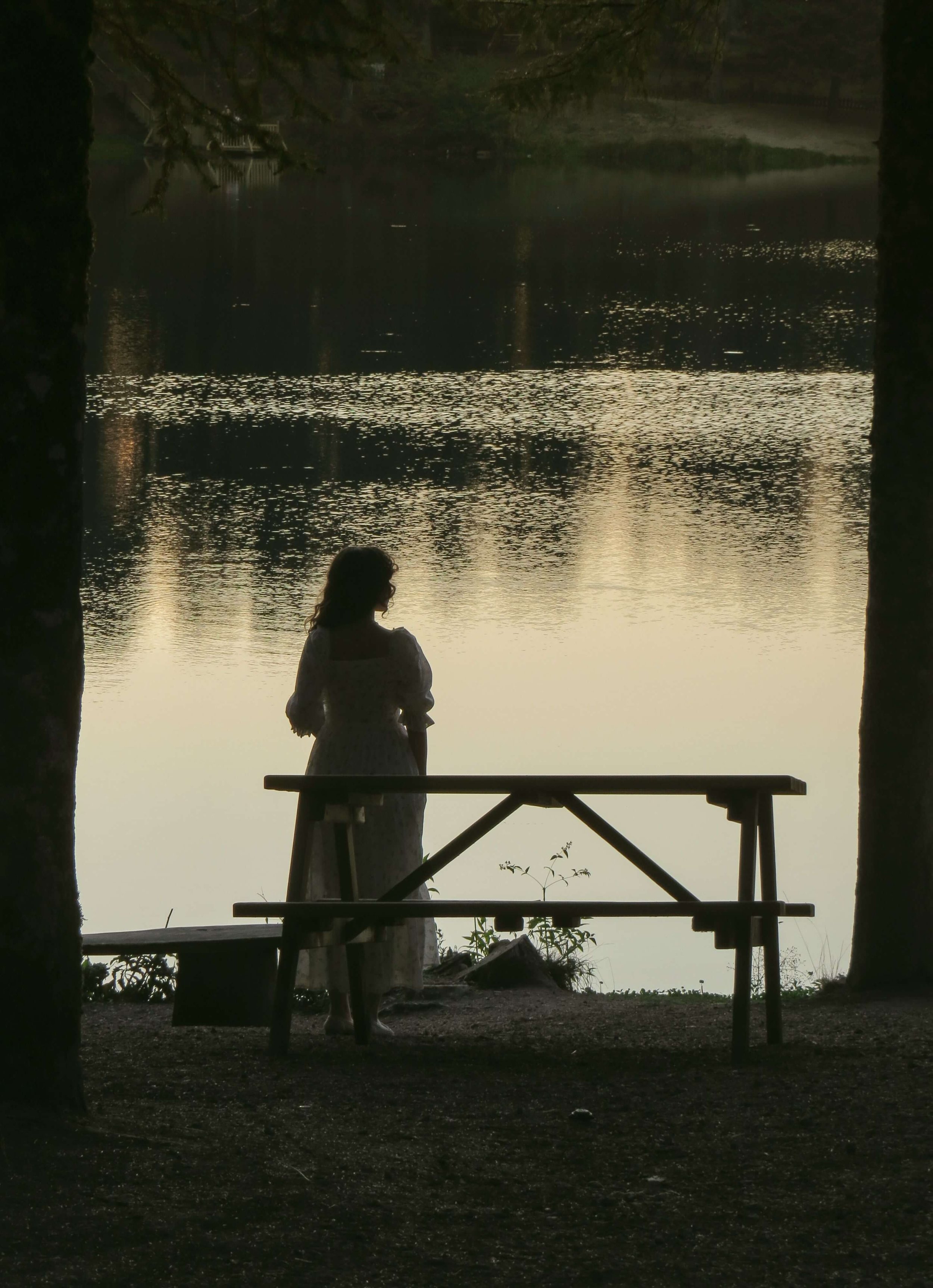 A woman stands quietly by a picnic table, looking out over a calm lake at dusk. Is functional medicine counseling the missing link between symptoms? A functional medicine doctor in St. Louis, MO can help connect these two sides of health.