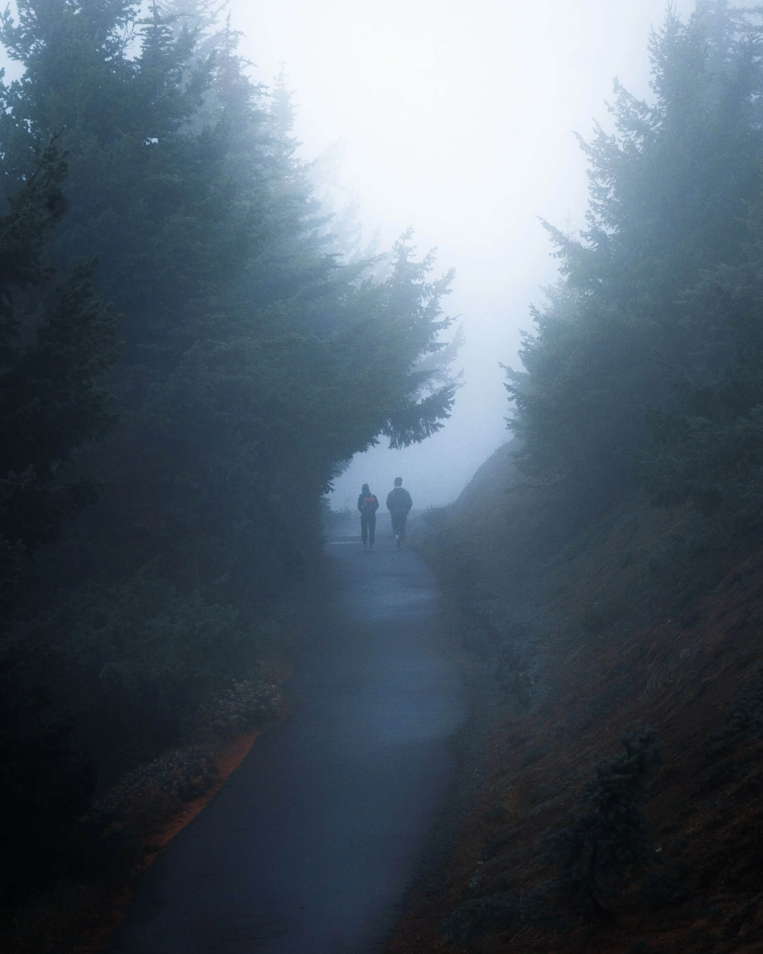 Two people walk down a path lined with tall trees. Can a functional medicine provider help guide you through unclear next steps in your health journey? Functional medicine in St. Louis, MO offers support alongside the care you already receive.