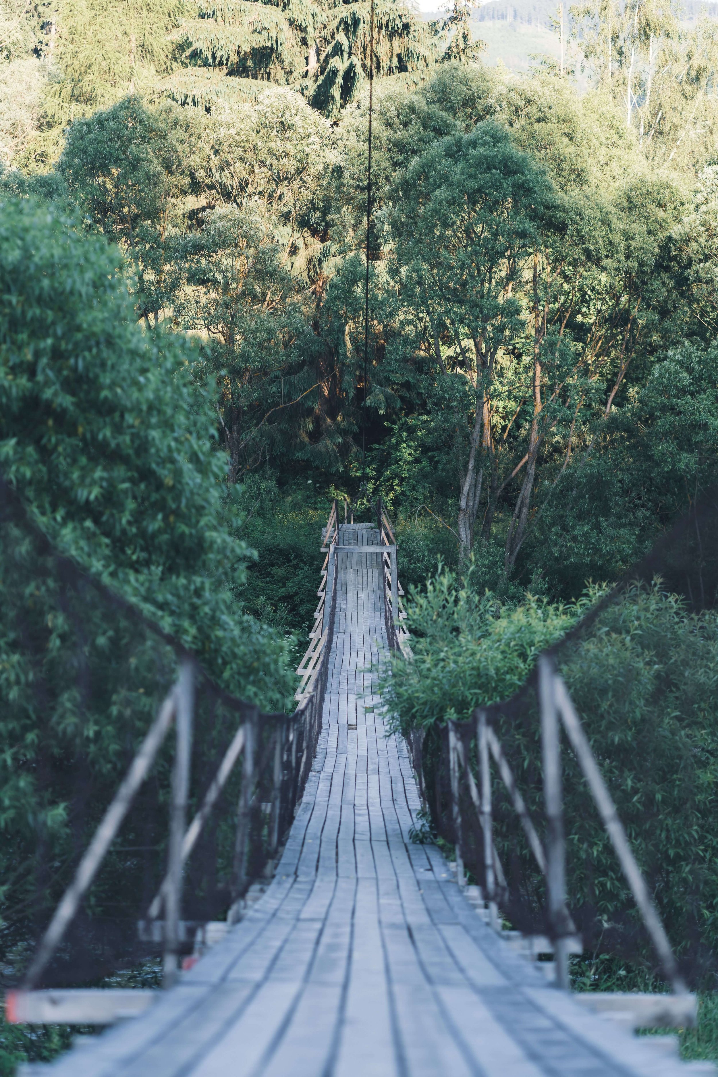 A wooden suspension bridge stretches through a green forest. How does functional medicine connect your health history to your symptoms? Functional medicine in St. Louis, MO builds a bridge between your past and your present health.