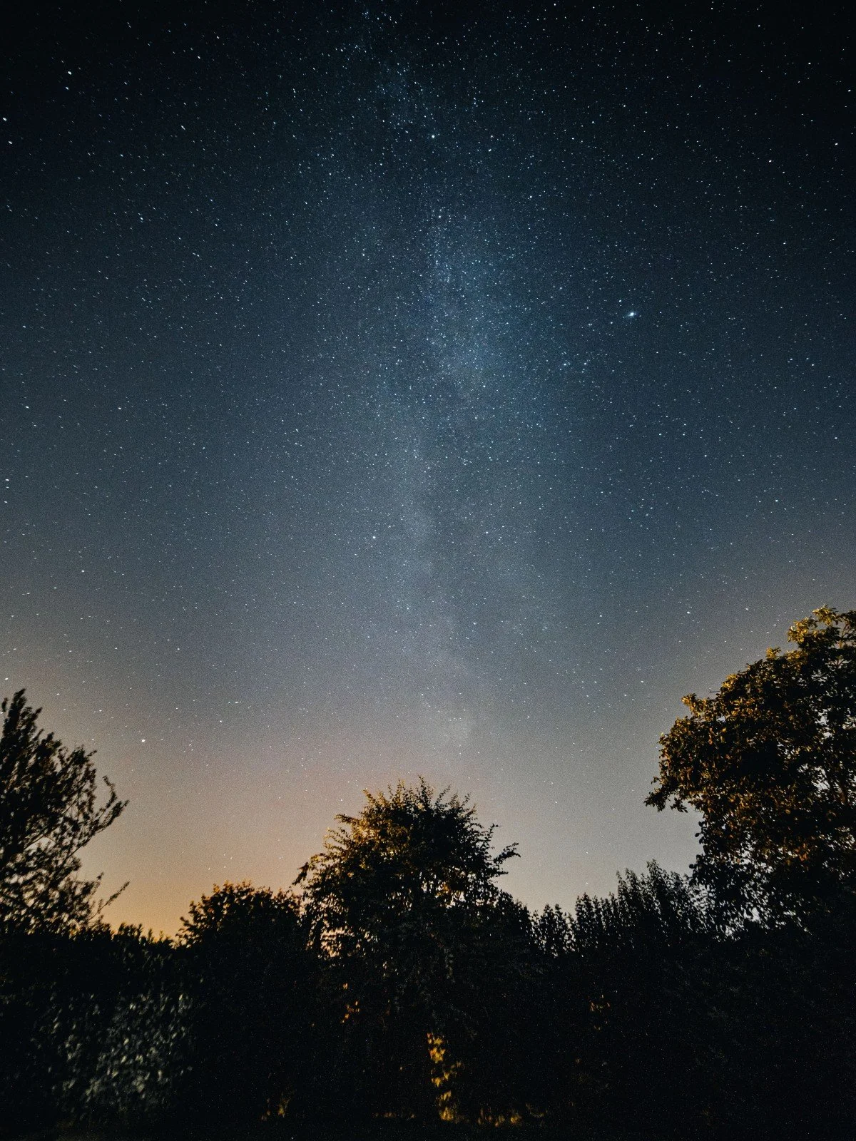 A star-filled night sky stretches above a silhouette of dark treetops. What does the 7-7-7 rule look like in practice for couples? Couples counseling in St. Louis, MO can help partners build simple habits like this one.