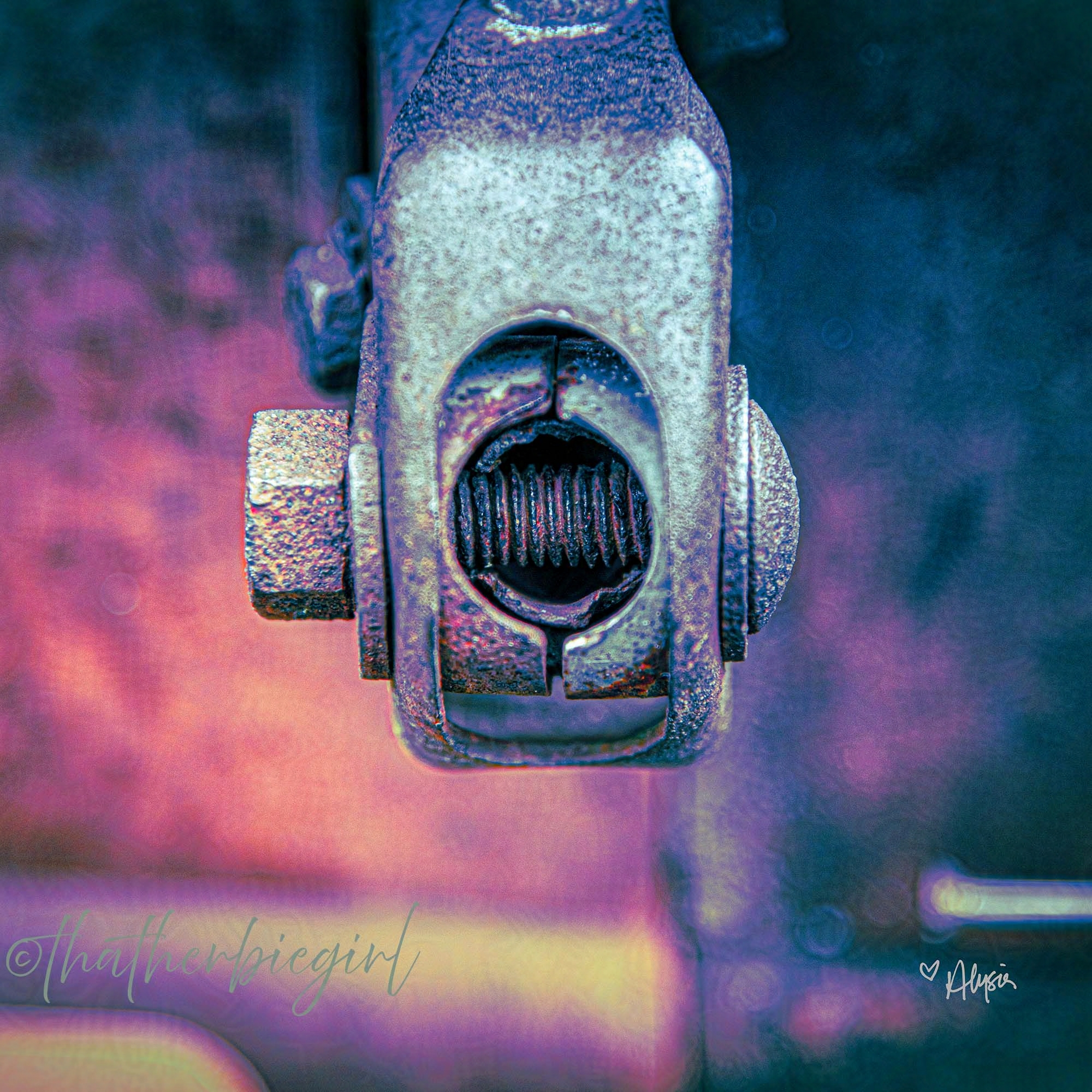 Bolt 16x16-protected-intensity-DEFAULT-V2_foxglove.png