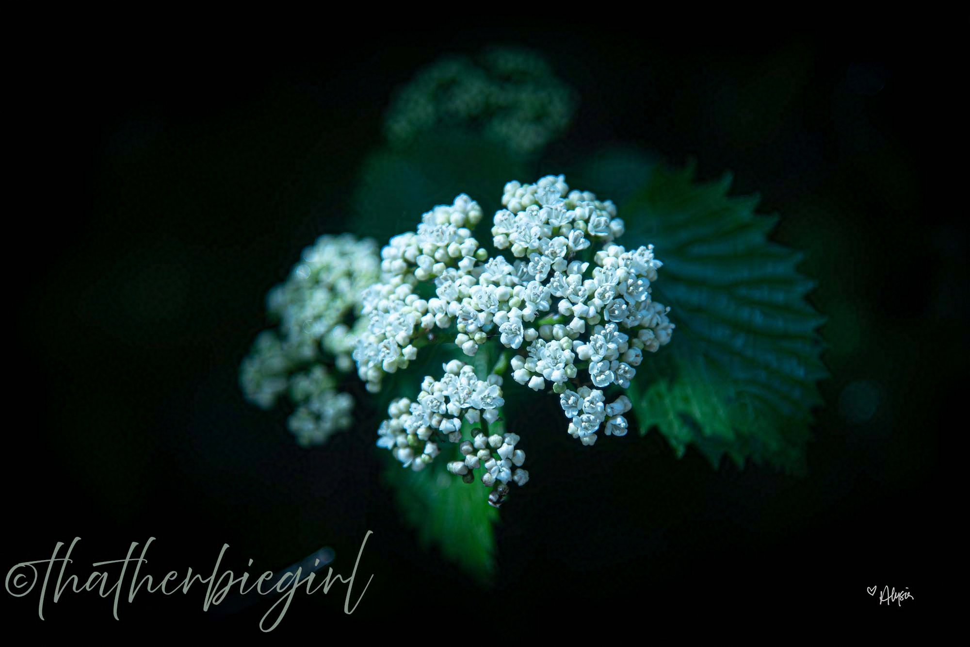 Breath