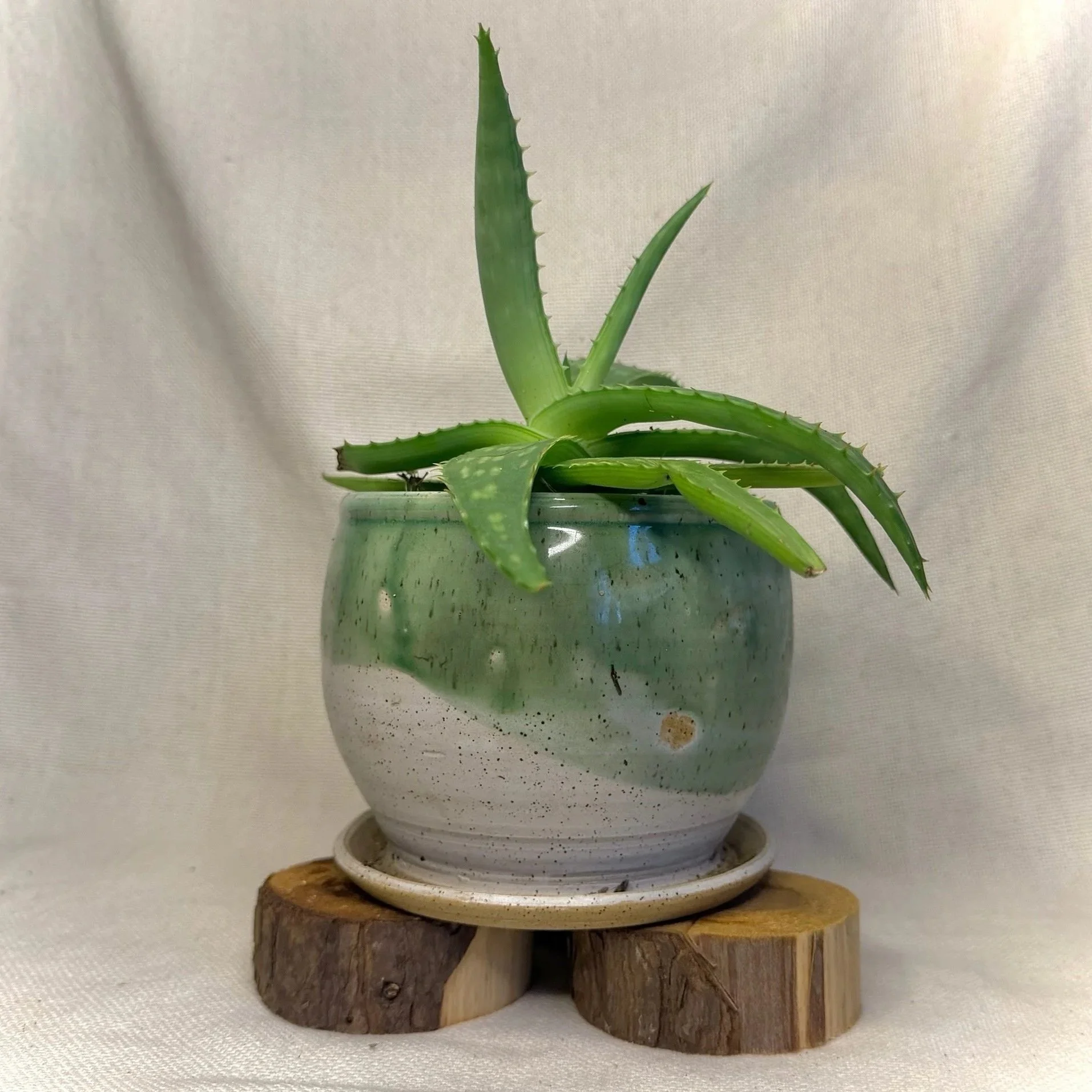 Winter Green Planter # 128