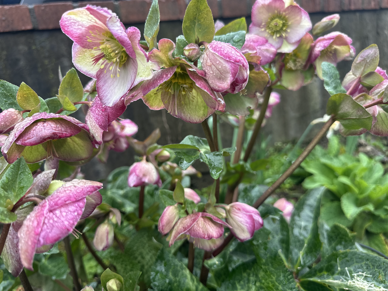 Greenwood Community Center-Holiday Arts and Crafts Fair